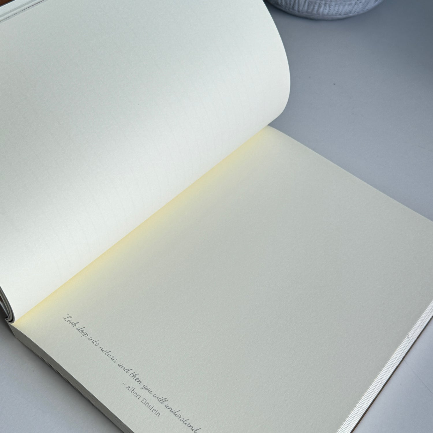 To The Wonder Journal