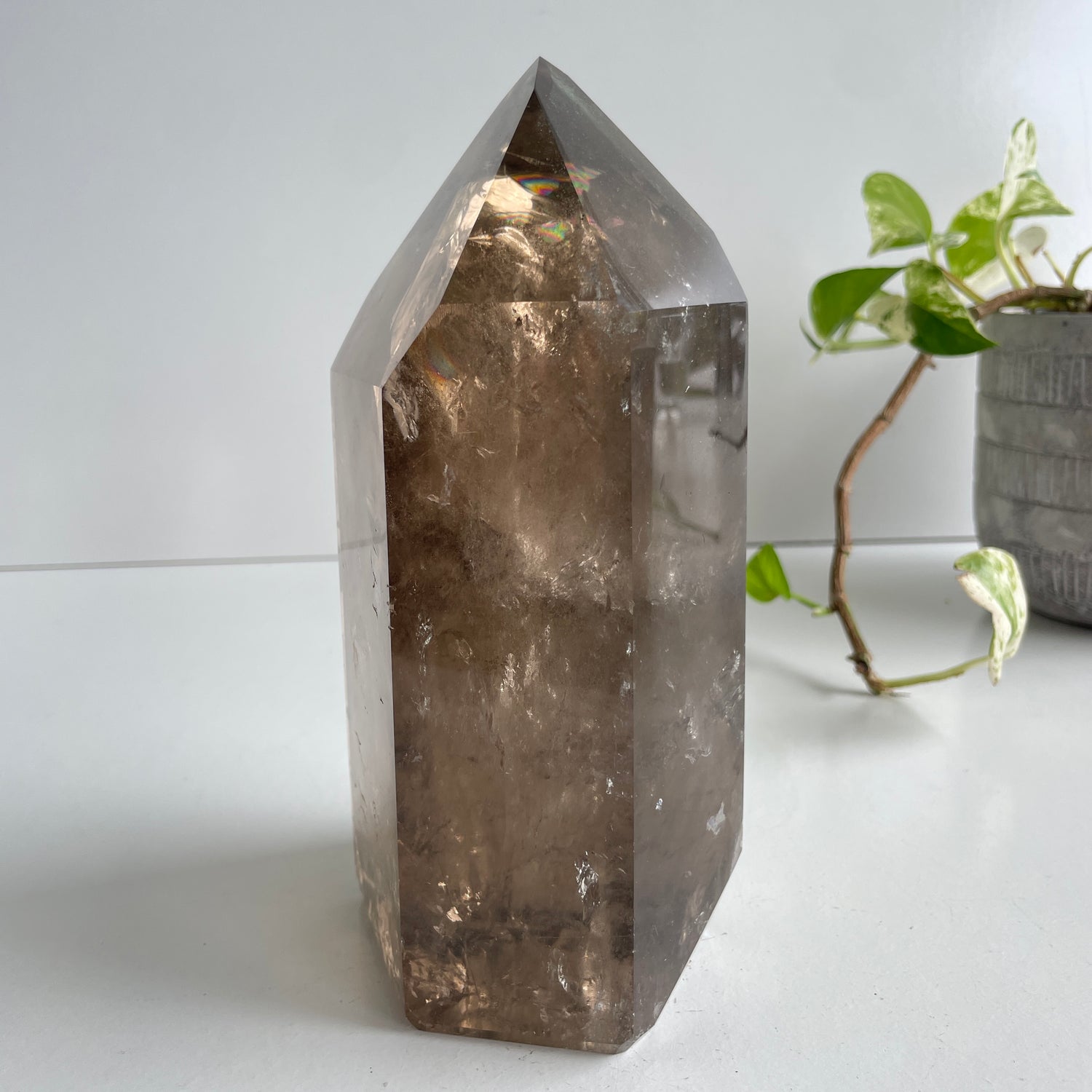 Smoky Quartz Generator With Rutile And Phantoms