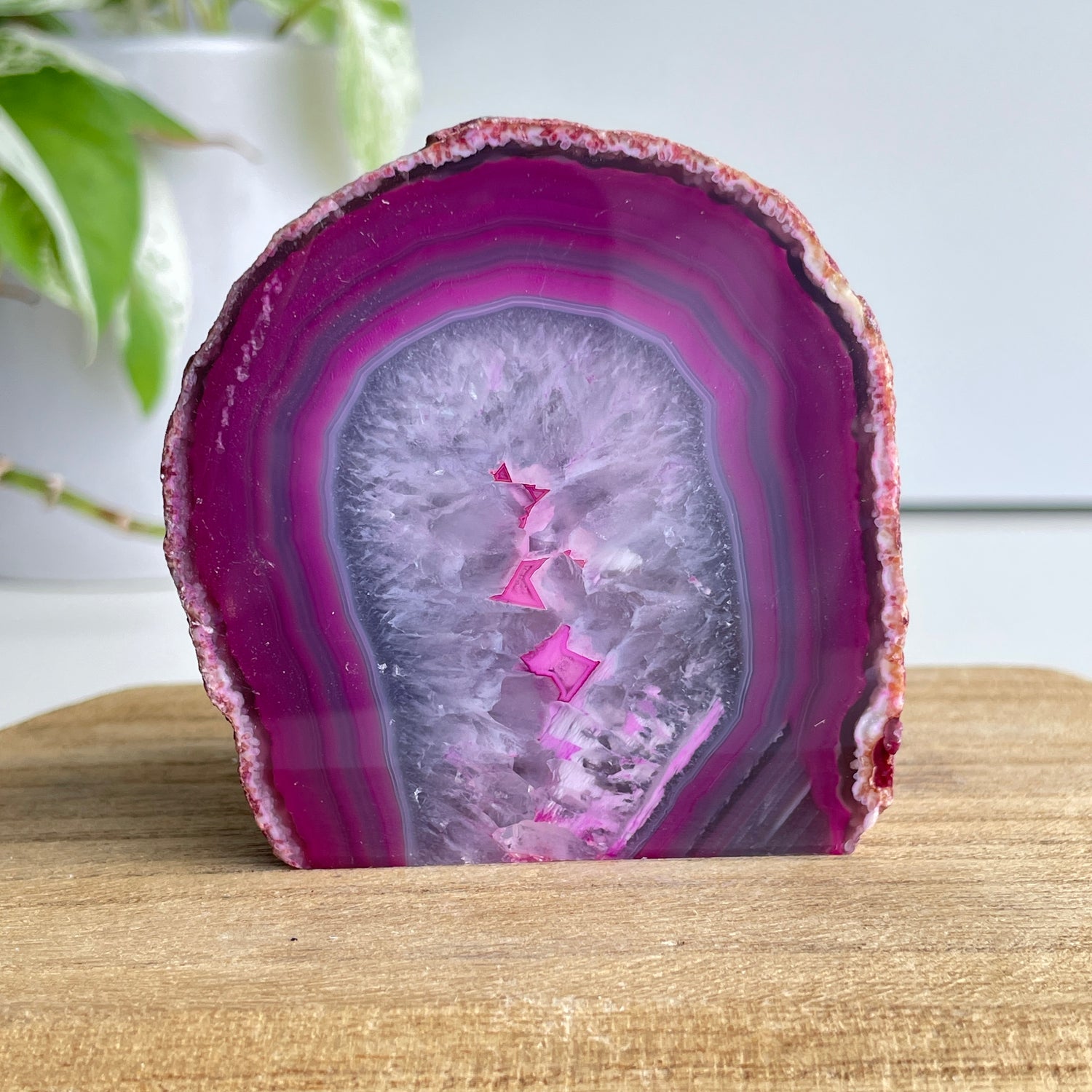 Pink Agate Geode 360g