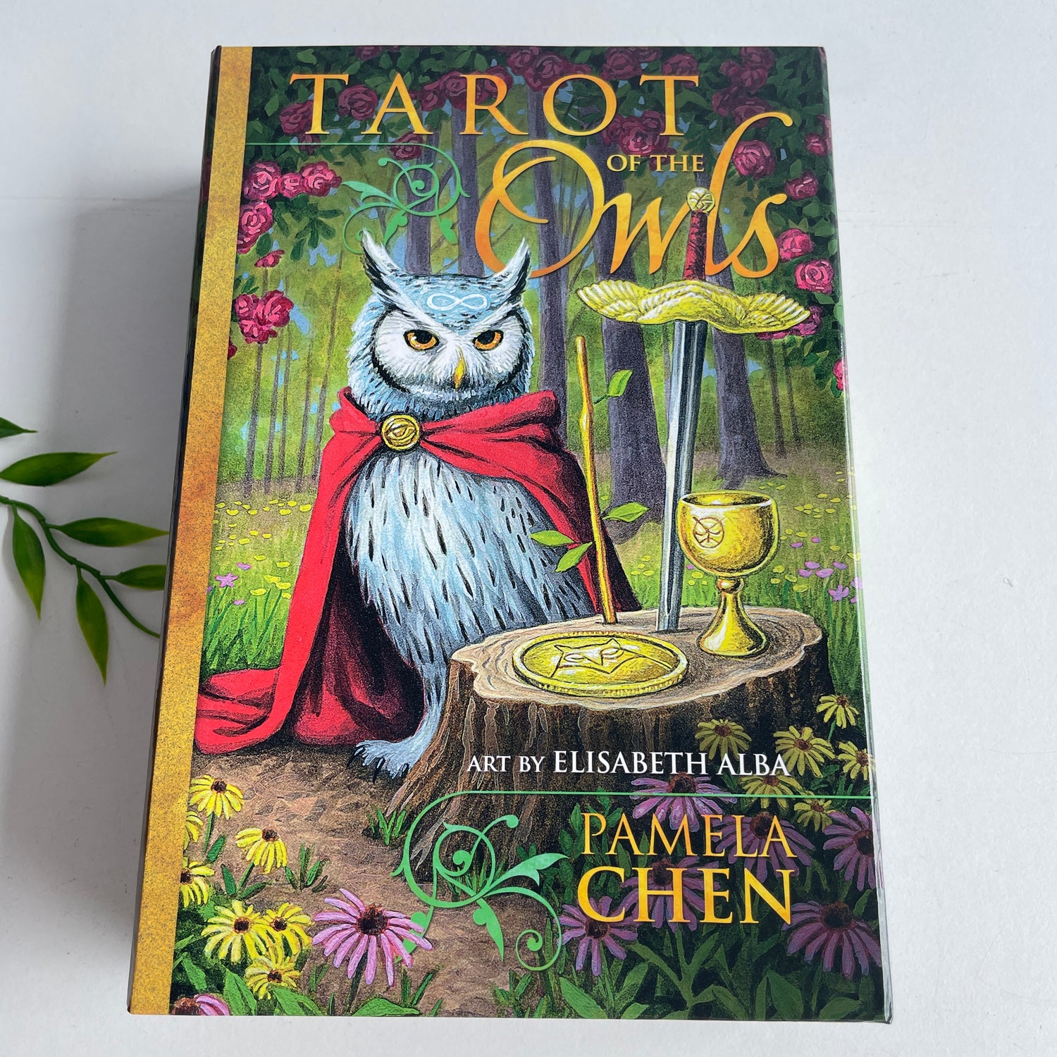 Tarot Of The Owls Pamela Chen
