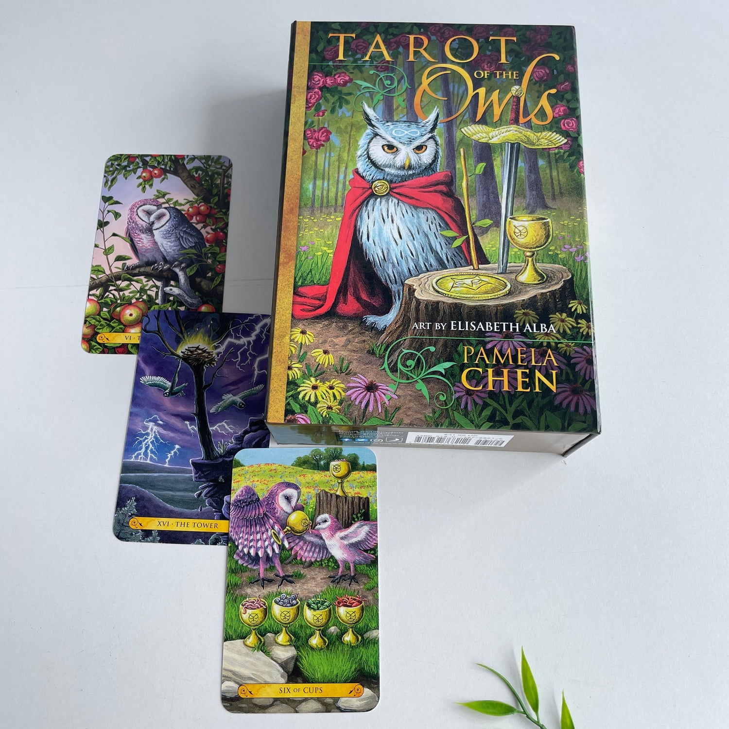 Tarot Of The Owls Pamela Chen