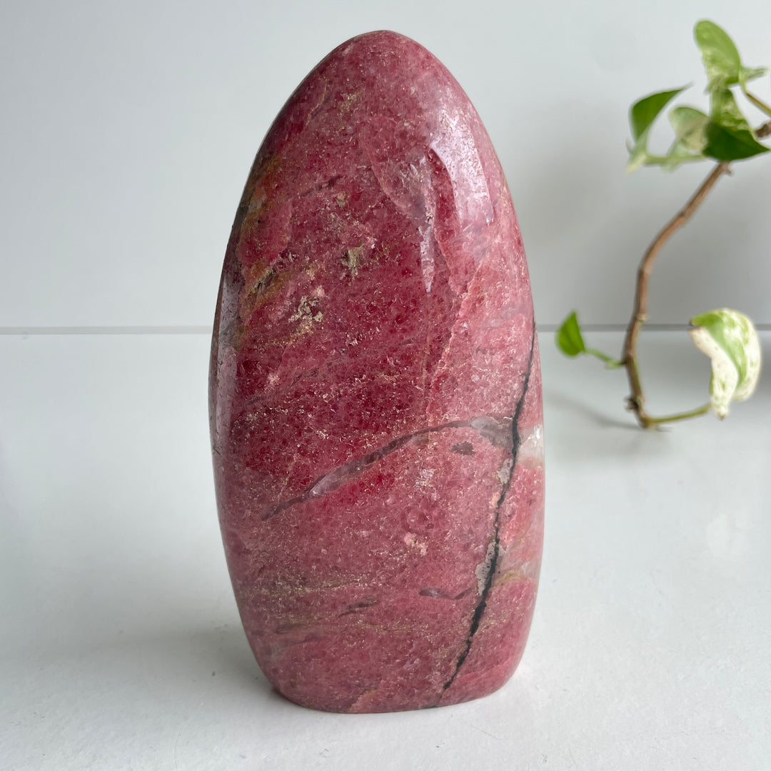 Rhodonite Freeform 14.8cm Brazilian