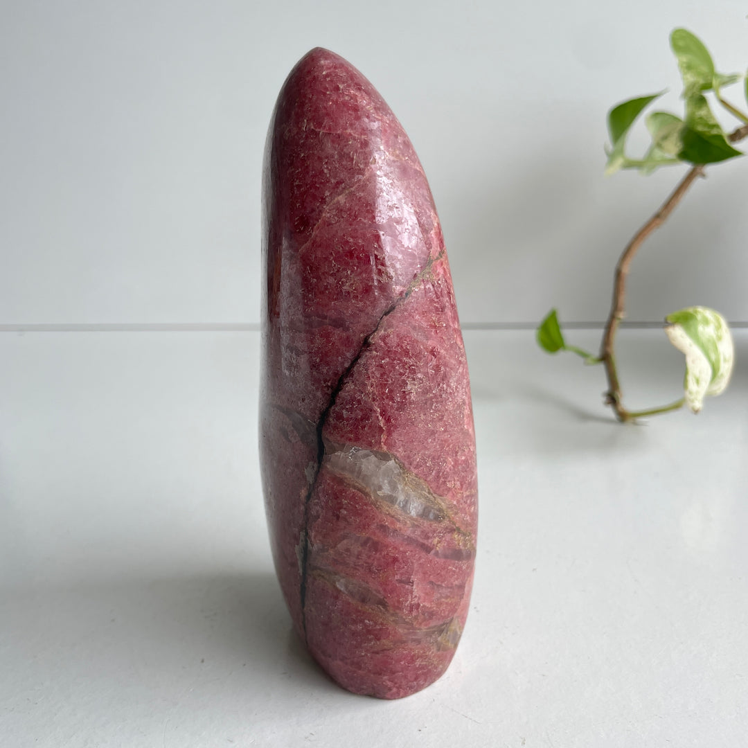 Rhodonite Freeform 14.8cm Brazilian