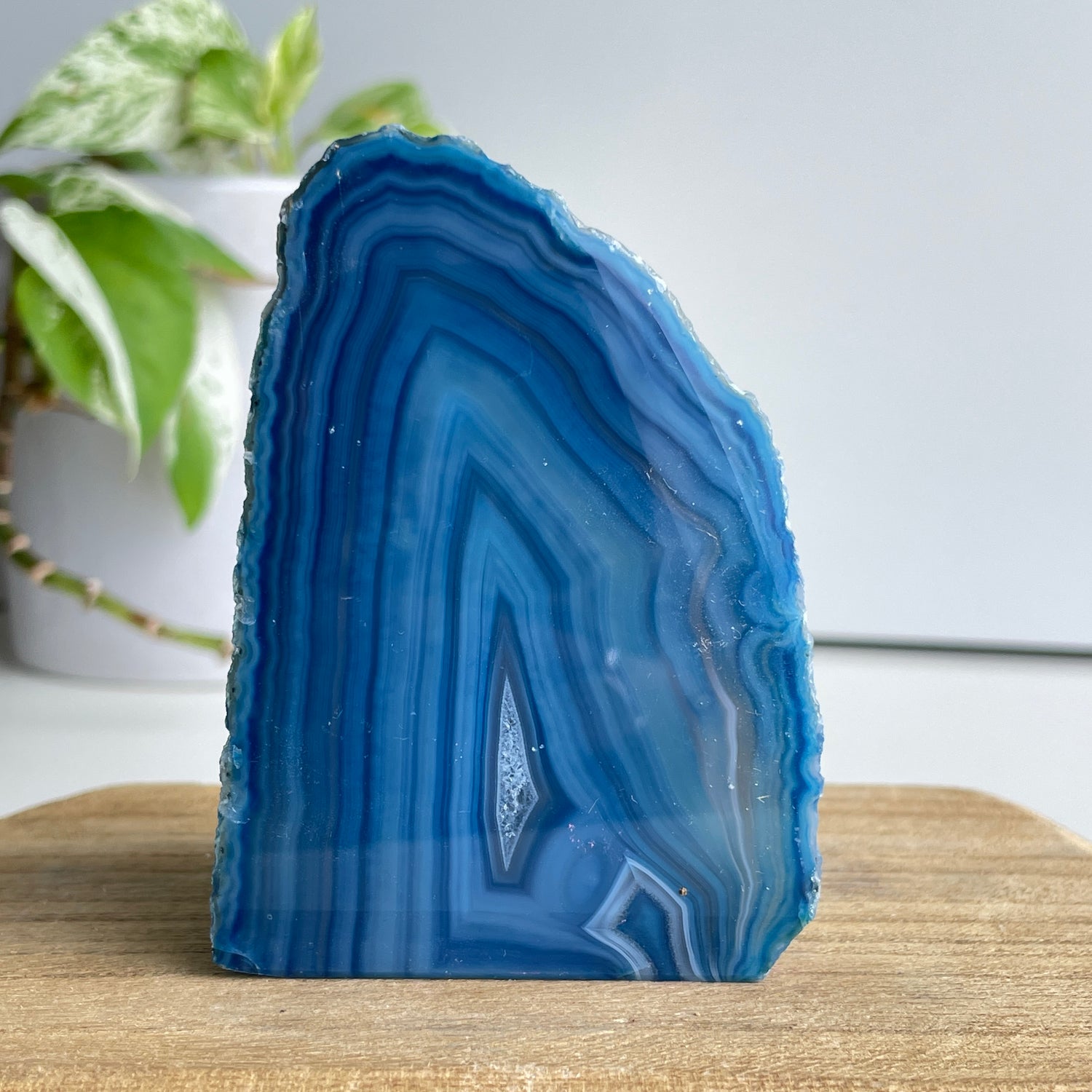 Blue Agate Geode 334g