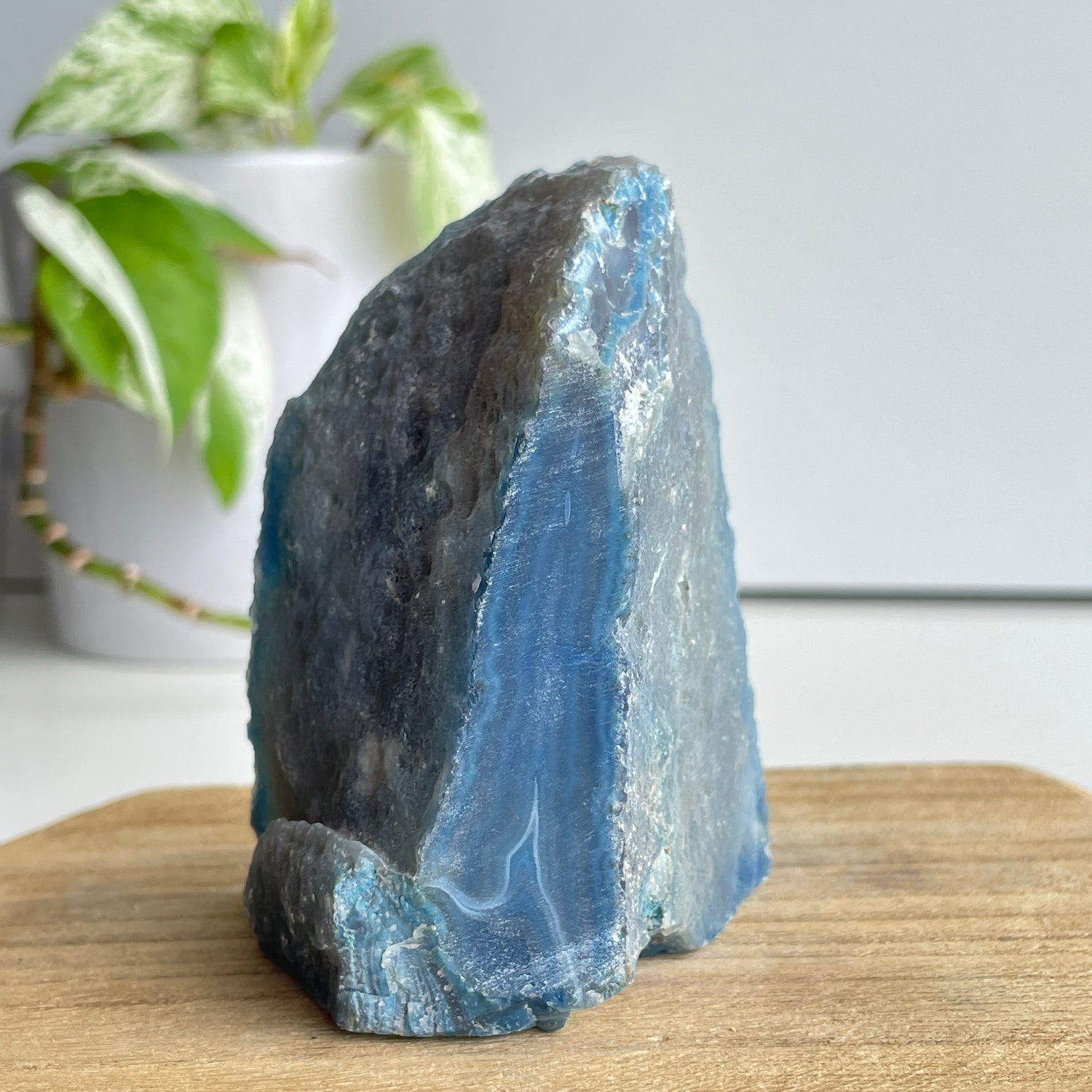 Blue Agate Geode 334g