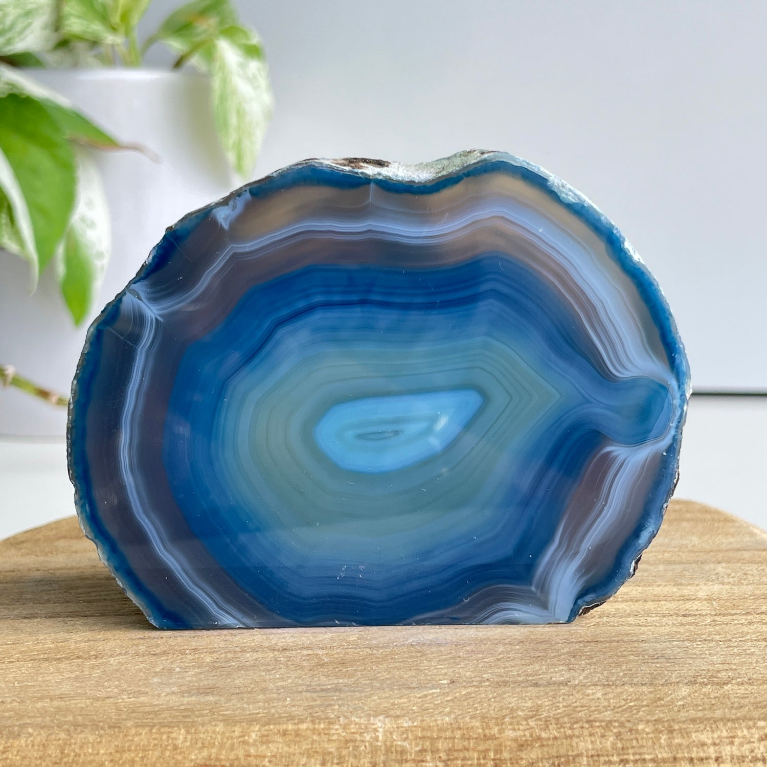 Blue Agate Geode 300g