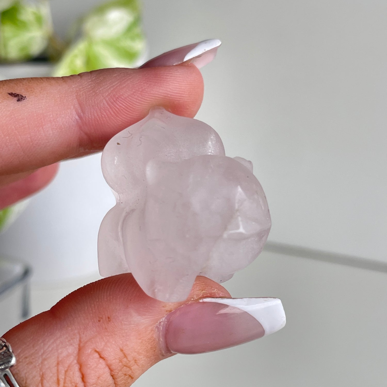Crystal Bulbasaur