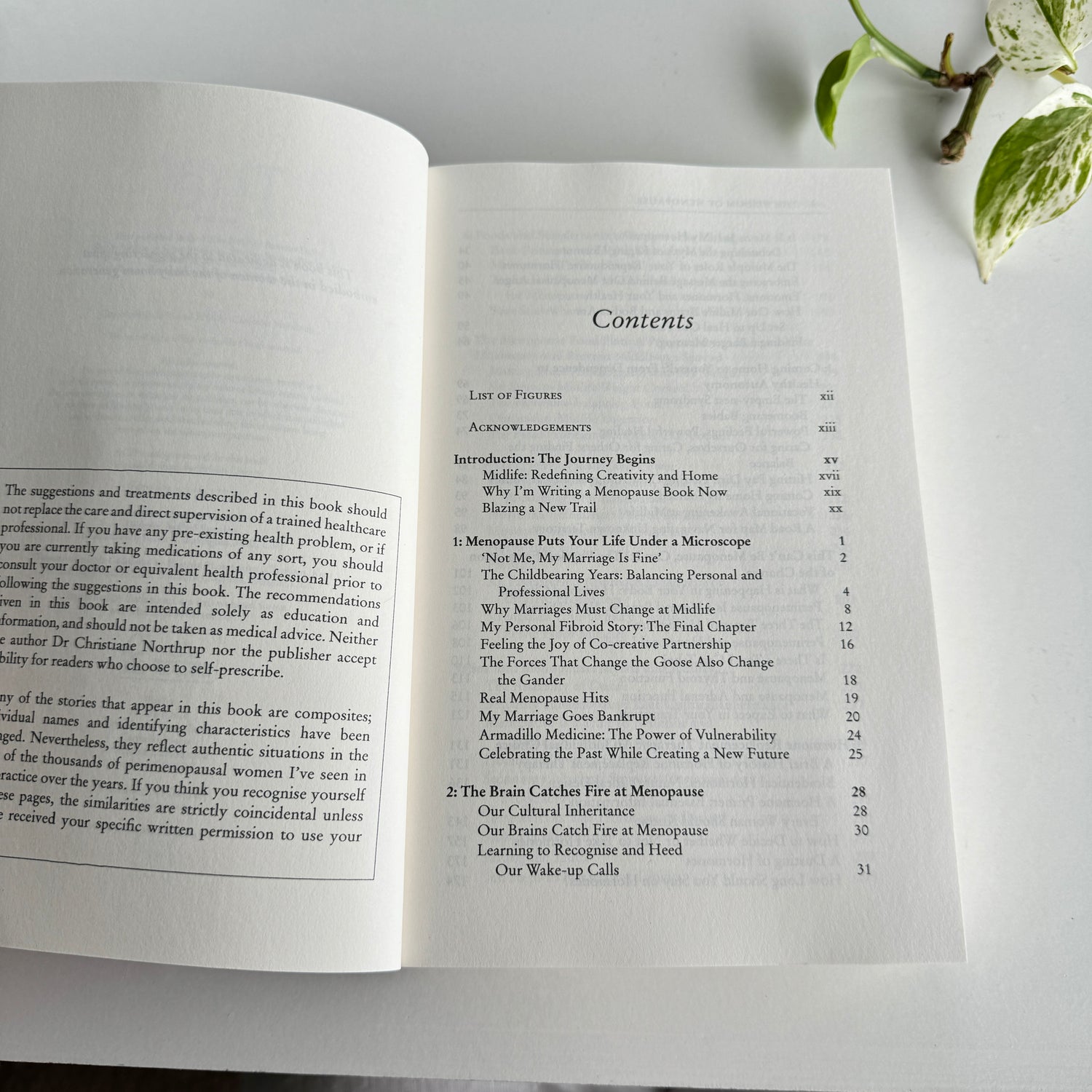 The Wisdom Of Menopause Christine Northrup