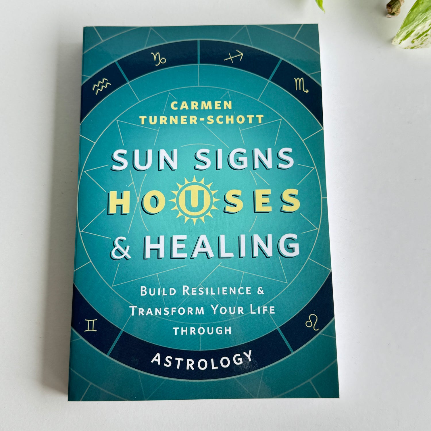 Sun Signs Houses And Healing  Carmen Turner Schott