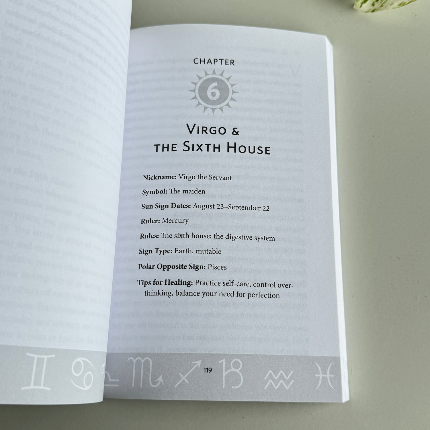 Sun Signs Houses And Healing  Carmen Turner Schott