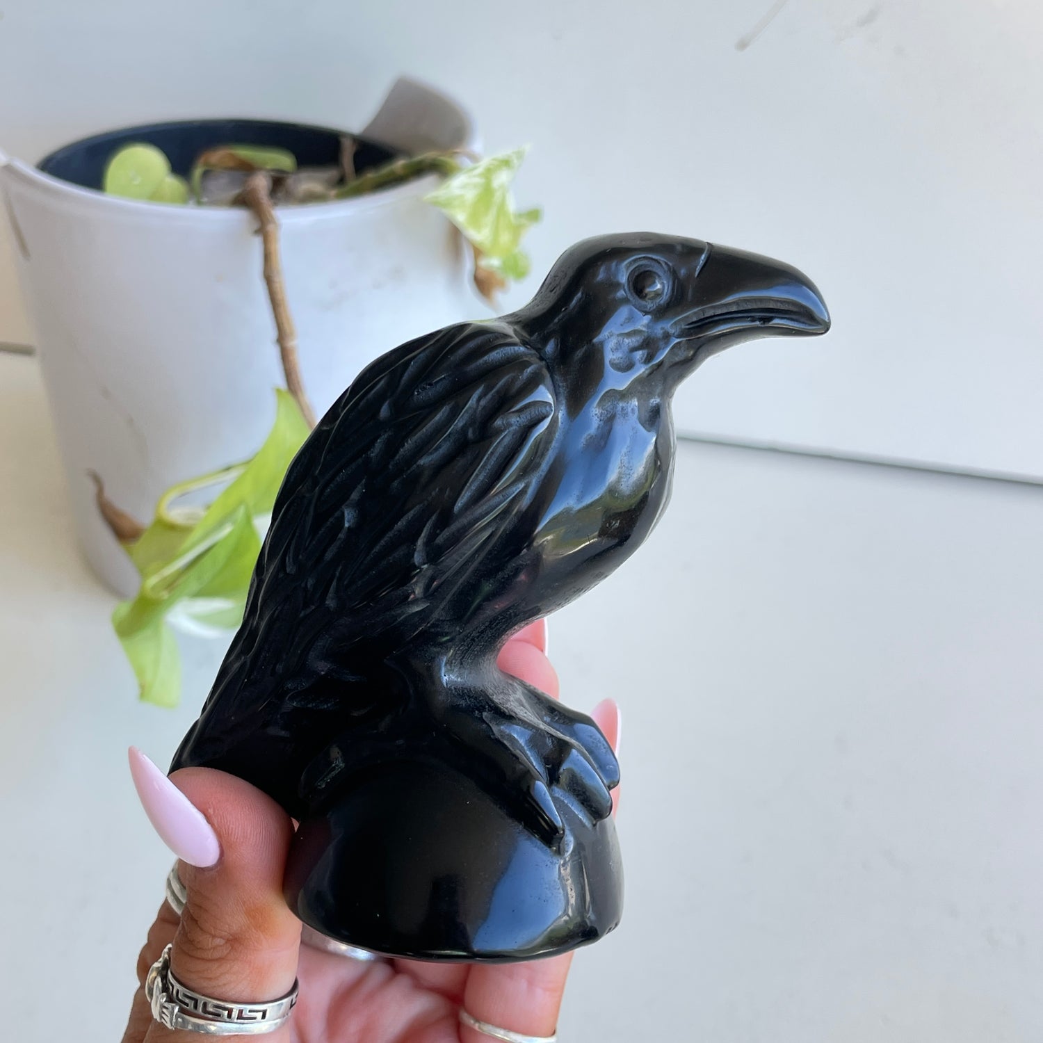 Black Obsidian Raven