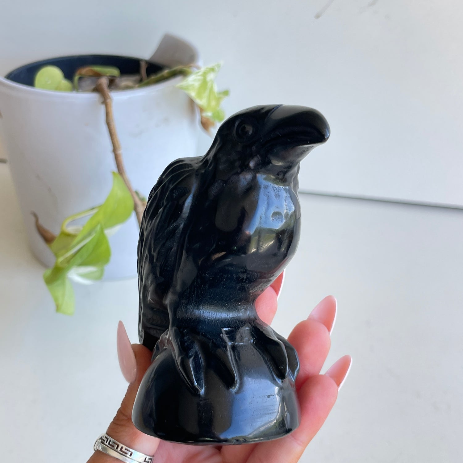 Black Obsidian Raven