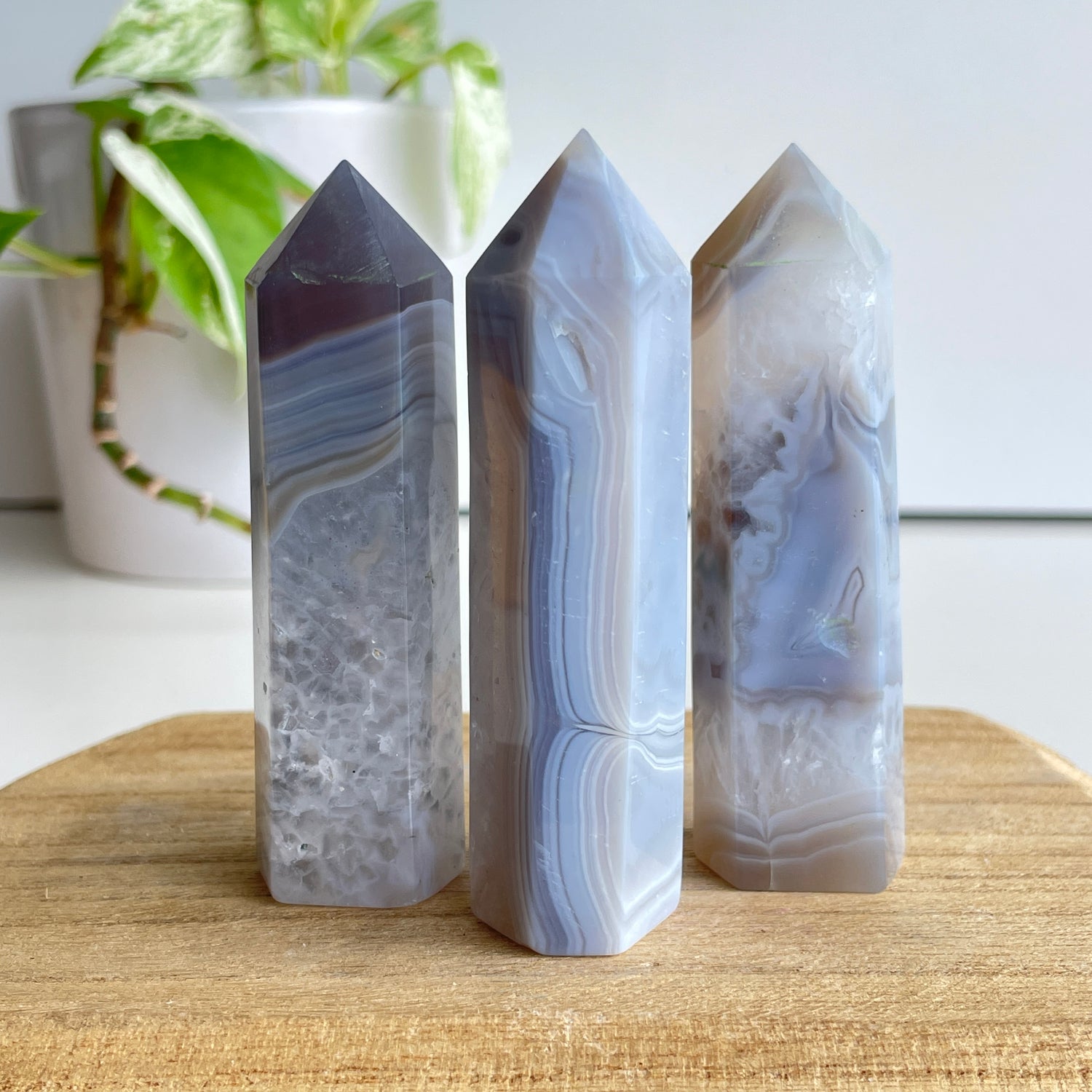 Botswana Agate Generator Small