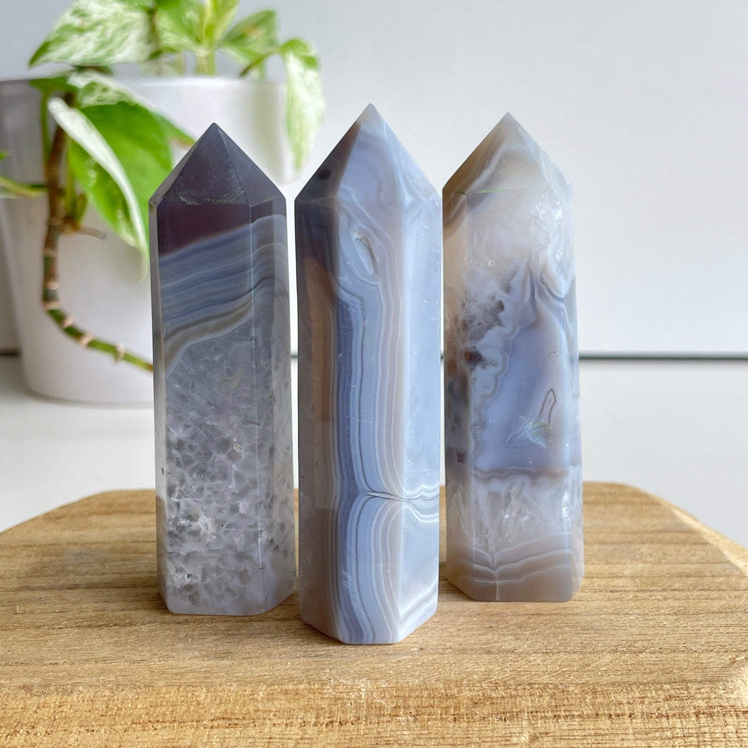 Botswana Agate Generator Small