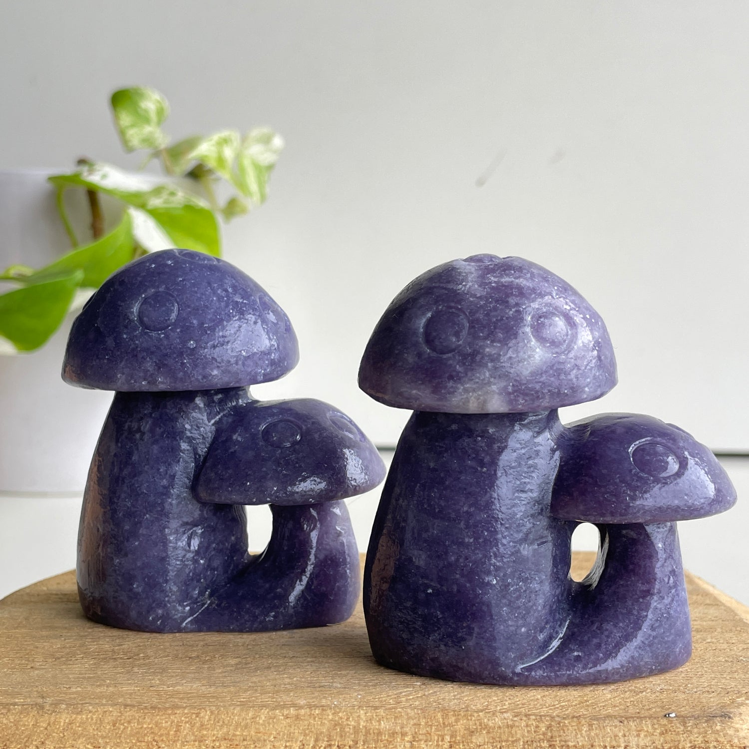 Lepidolite Mushroom