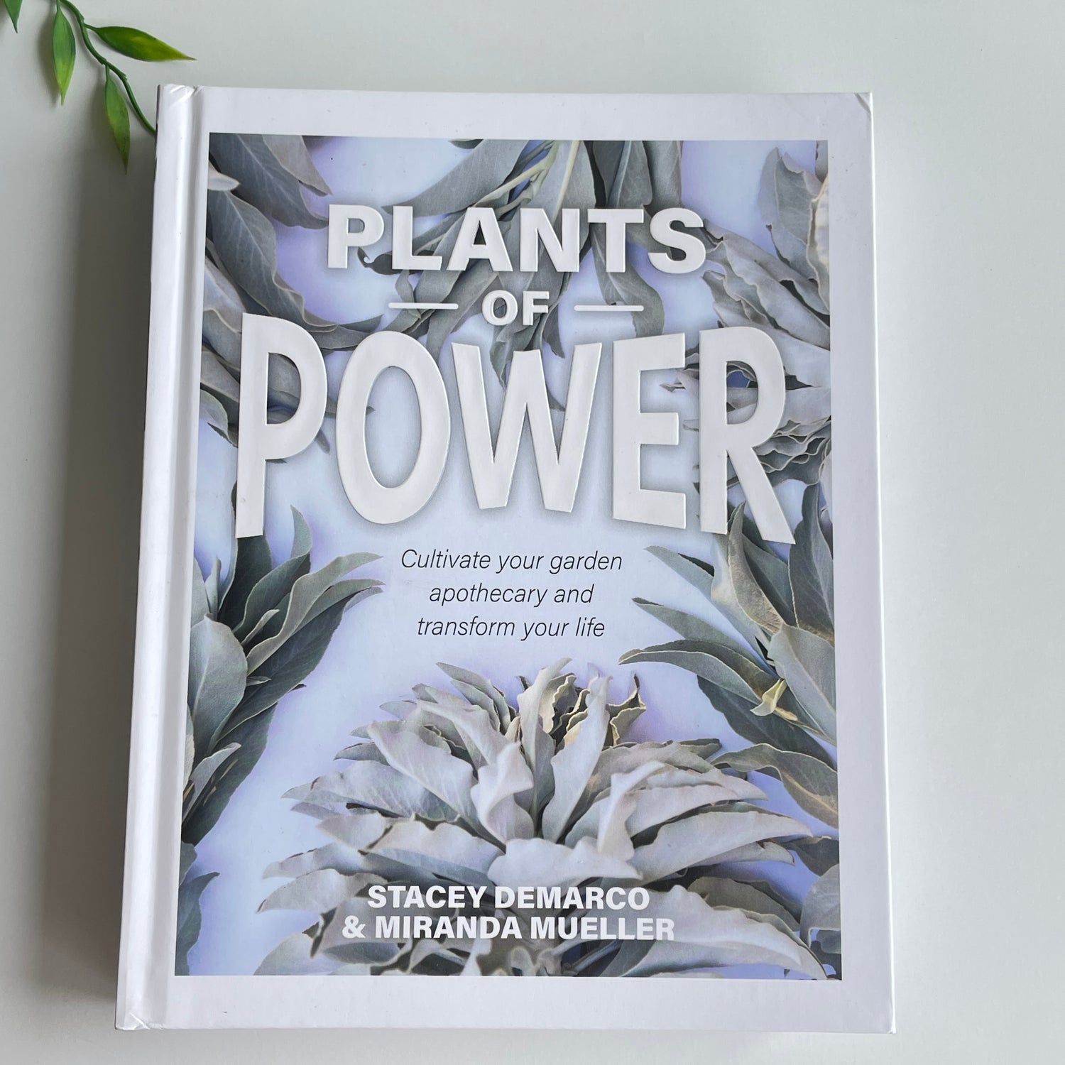 Plants Of Power Stacey Demarco Miranda Mueller