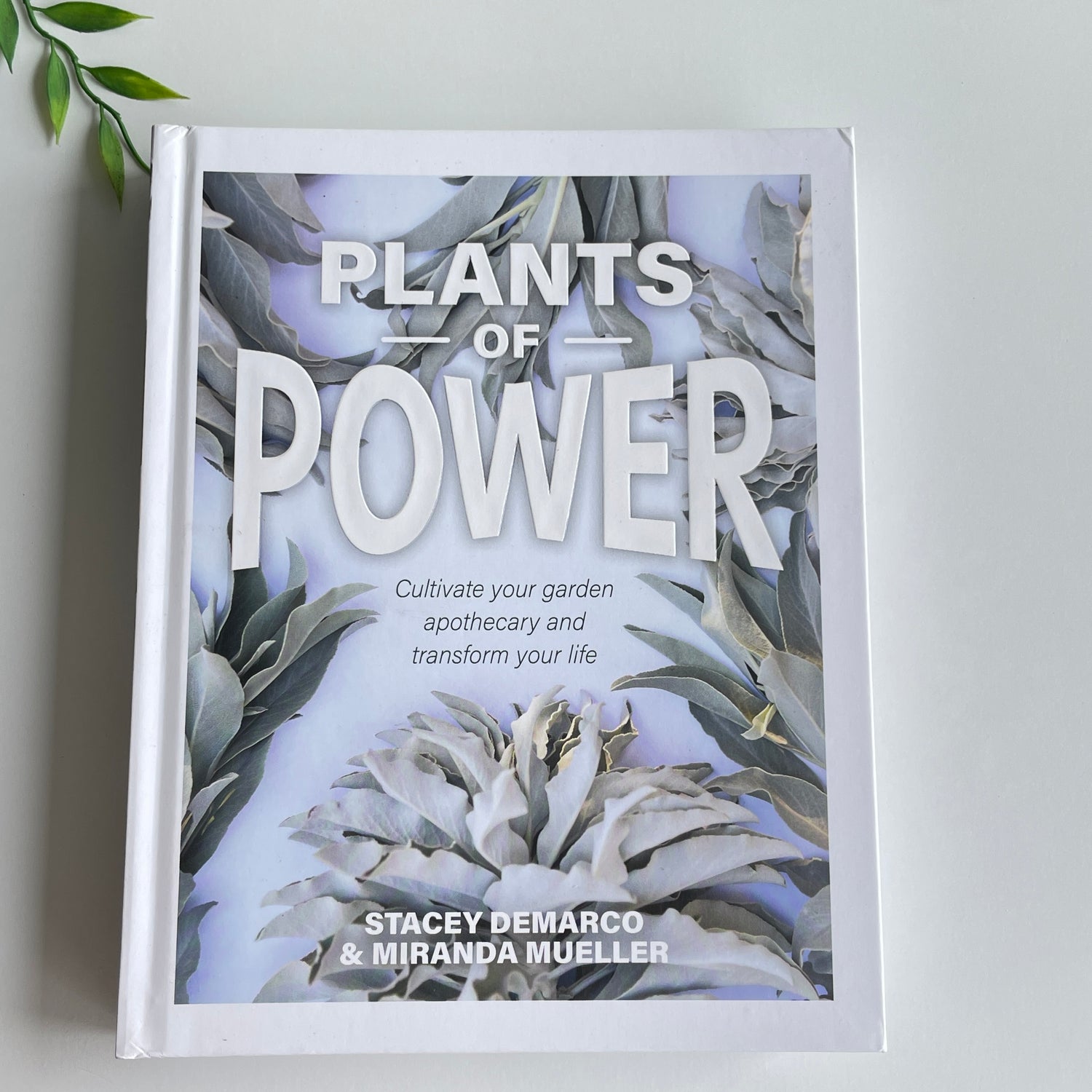 Plants Of Power Stacey Demarco Miranda Mueller
