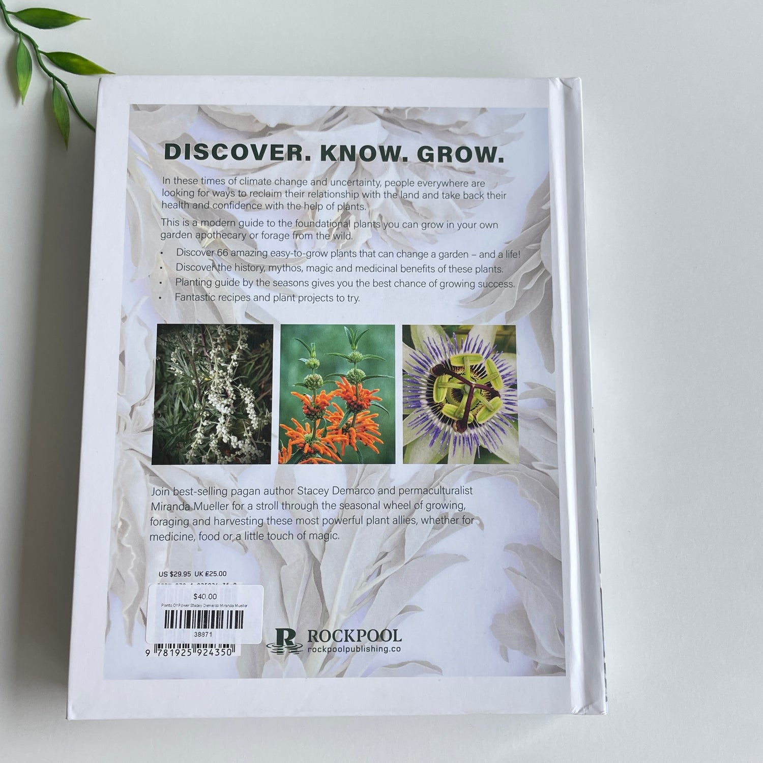 Plants Of Power Stacey Demarco Miranda Mueller