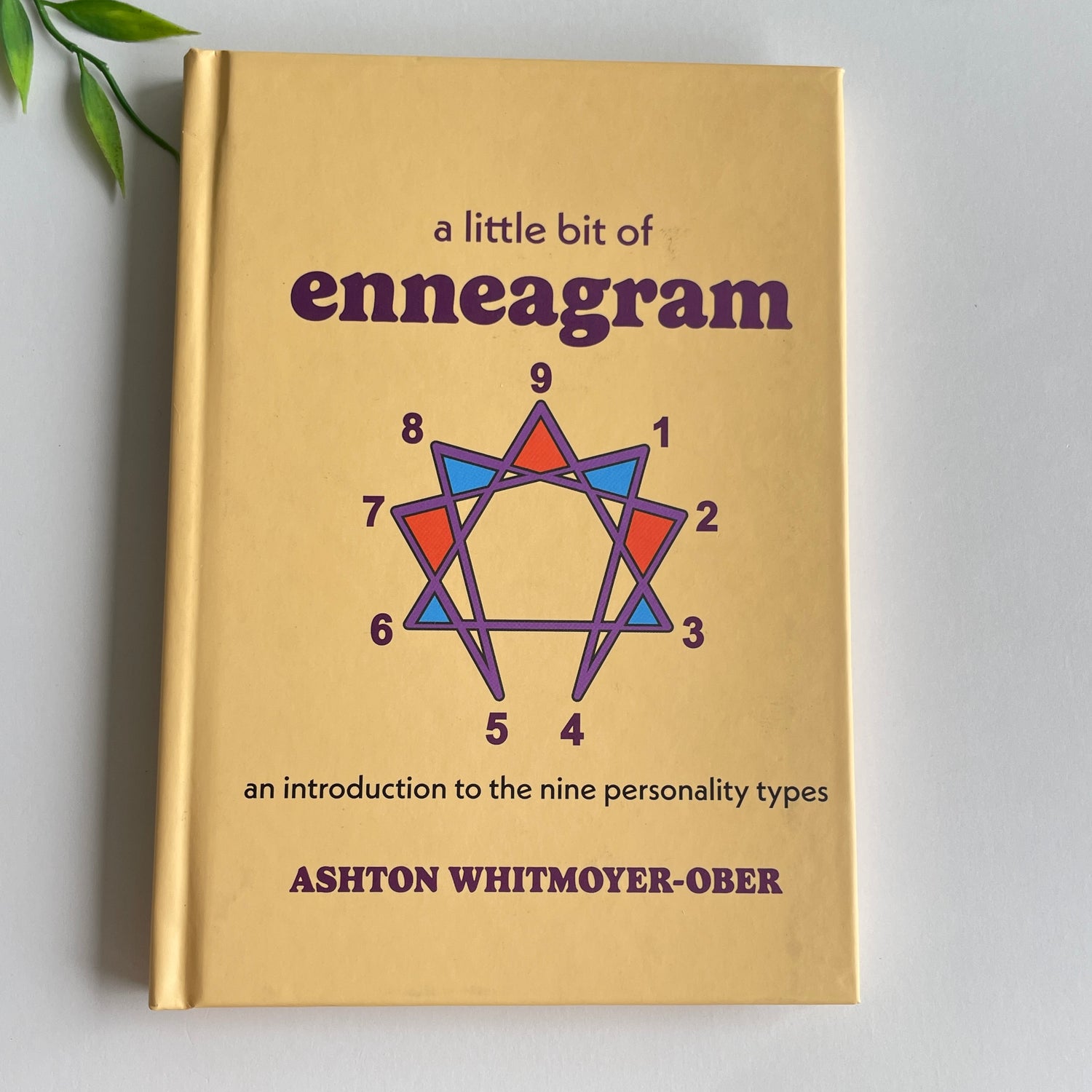 A Little Bit Of Enneagram Ashton Whitmoyer Ober
