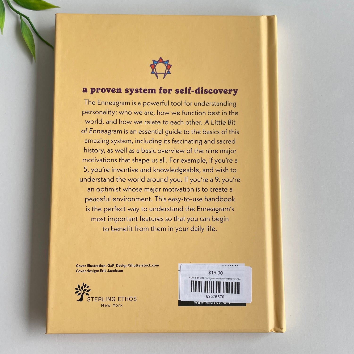 A Little Bit Of Enneagram Ashton Whitmoyer Ober