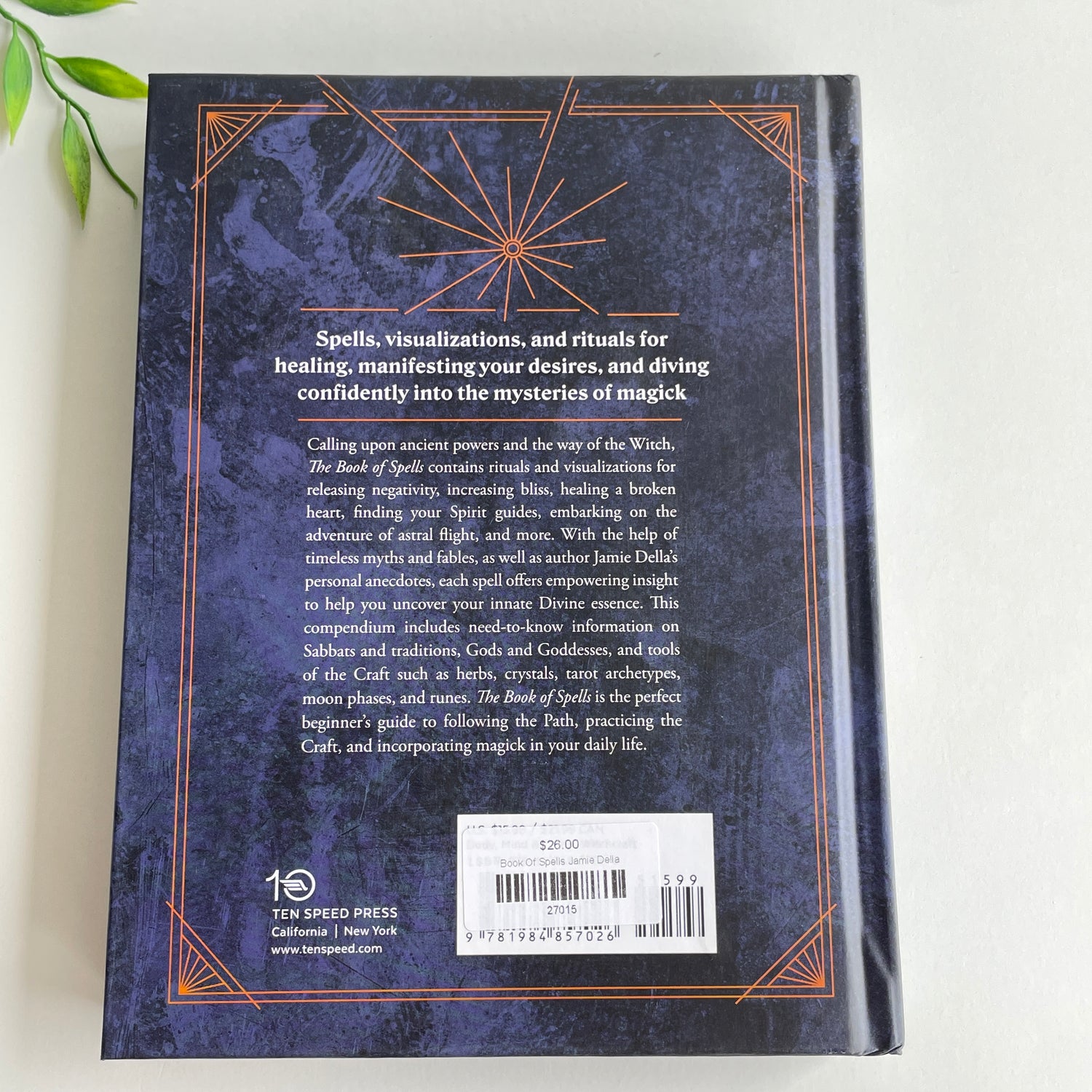 Book Of Spells Jamie Della