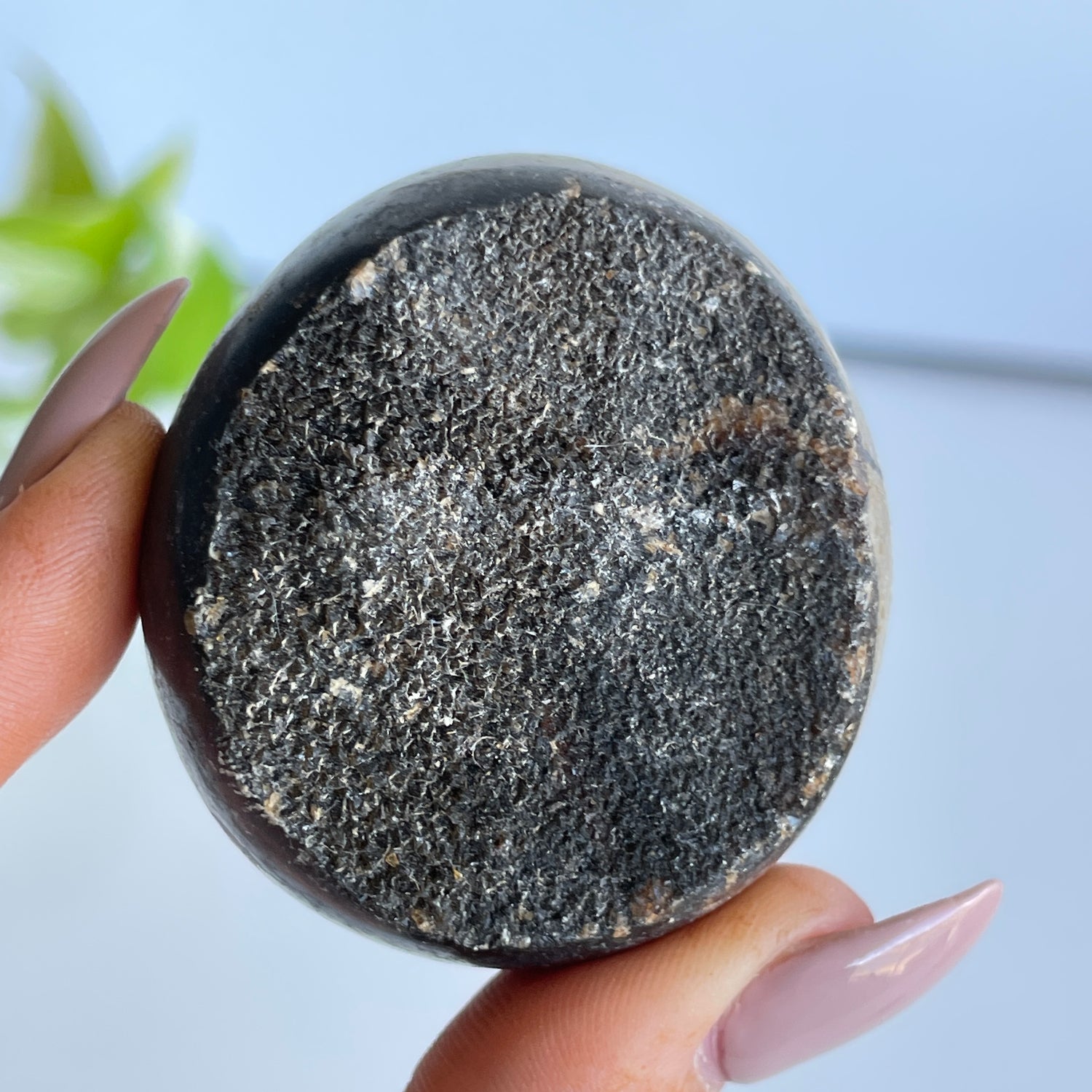 Septarian Egg 4.9cm
