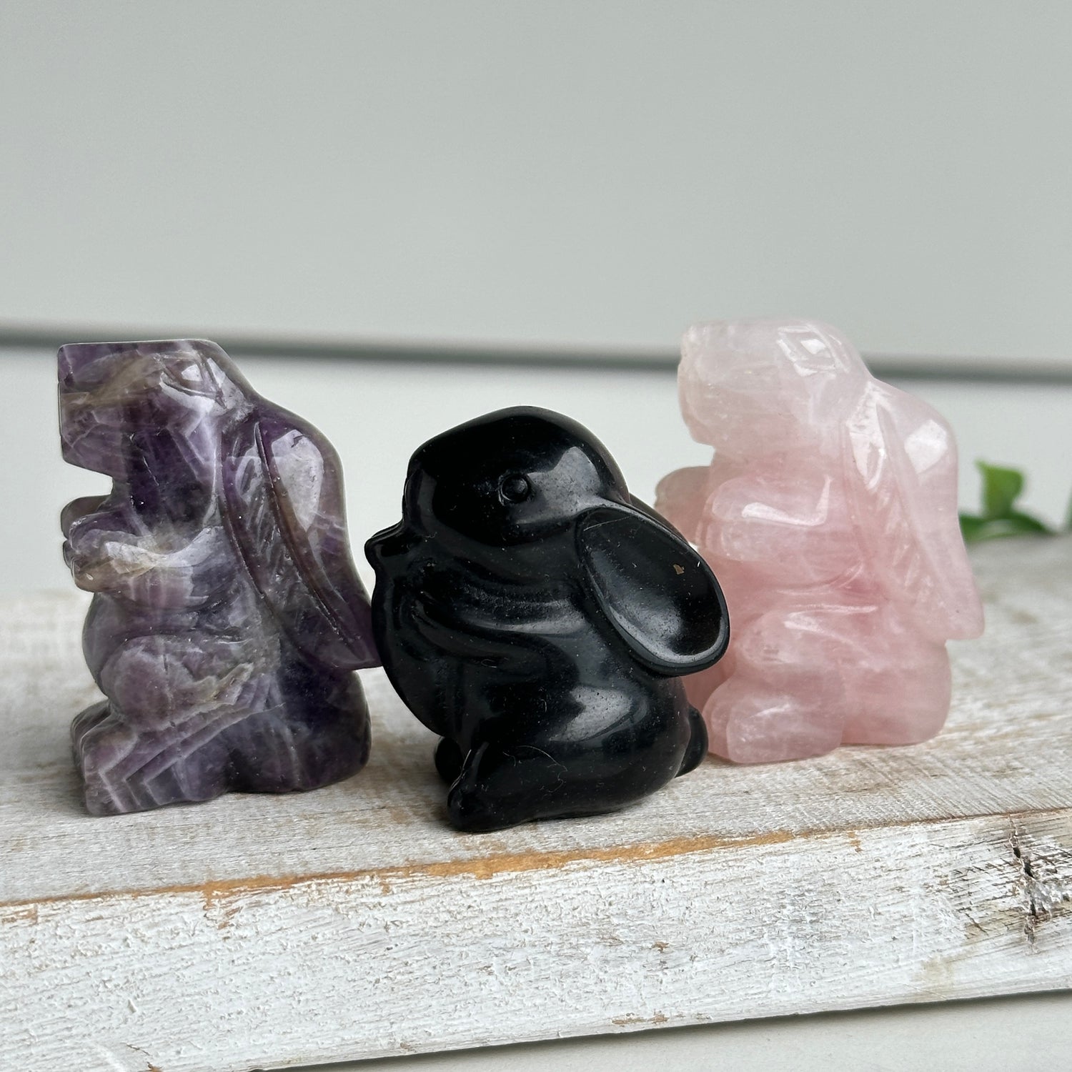 Crystal Rabbit Assorted