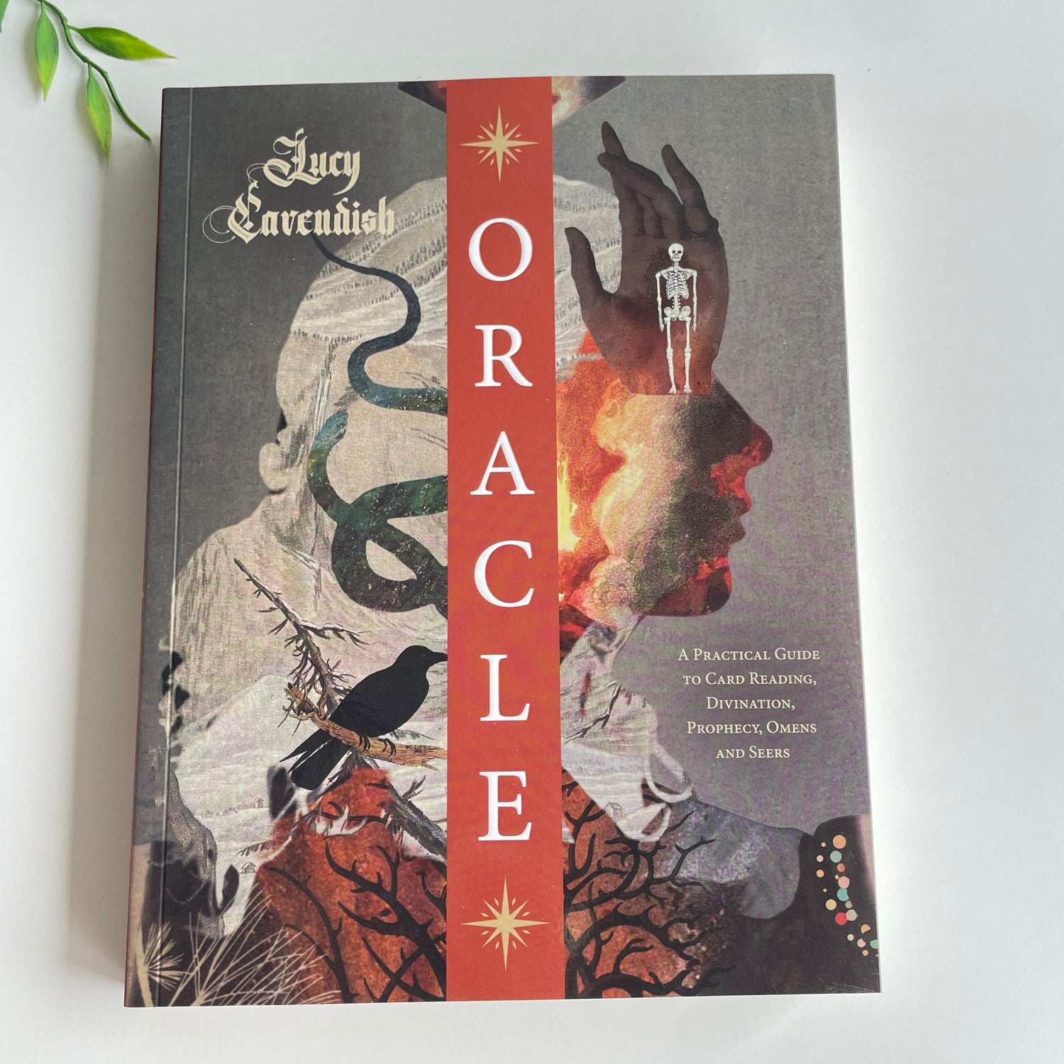 Oracle - A Magical Memoir Lucy Cavendish