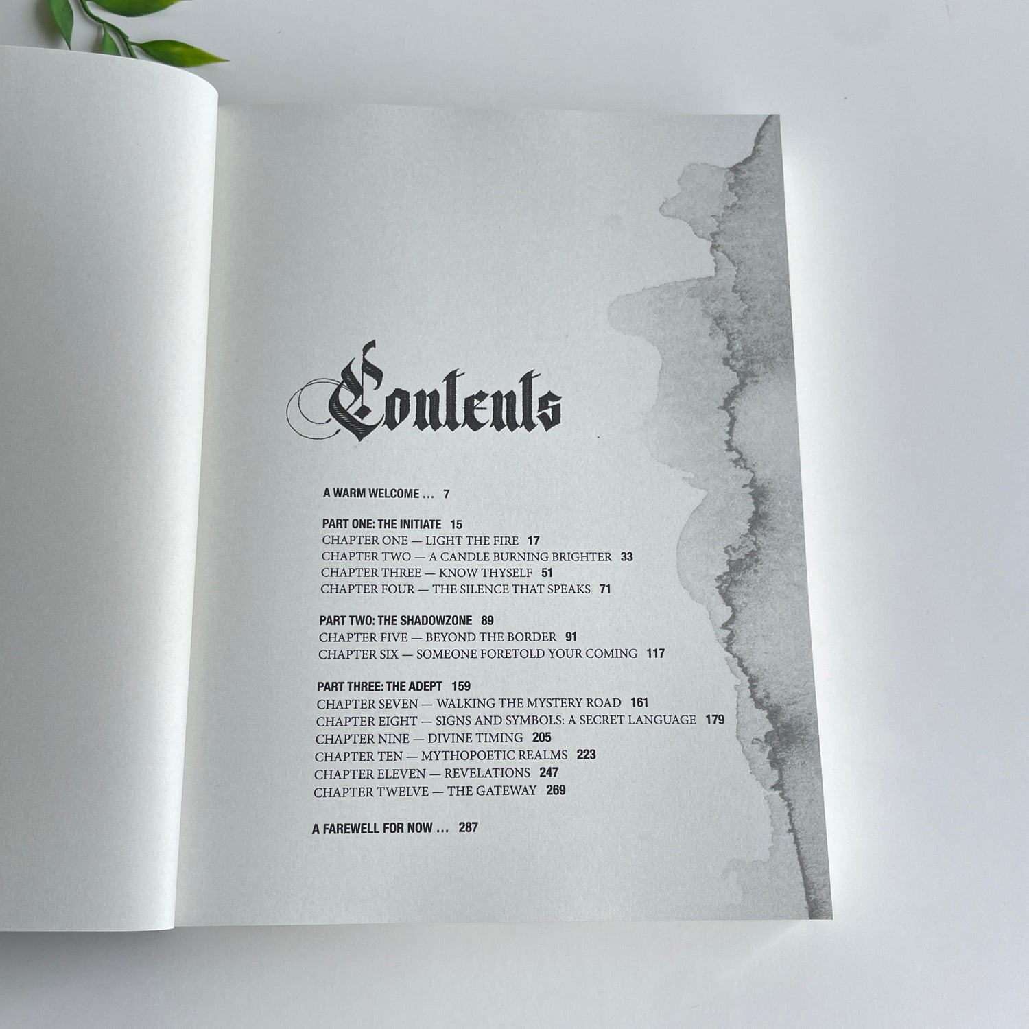 Oracle - A Magical Memoir Lucy Cavendish