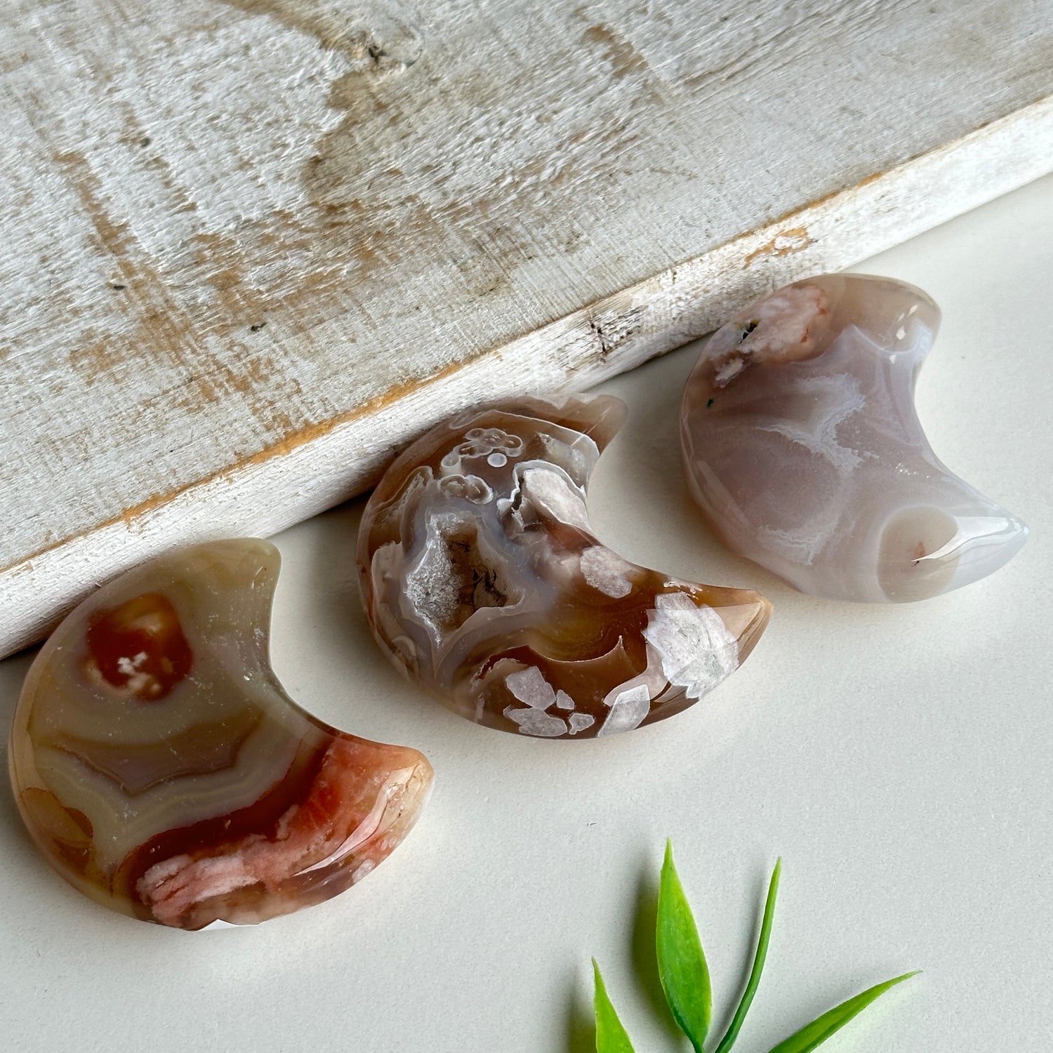 Flower Agate Moon