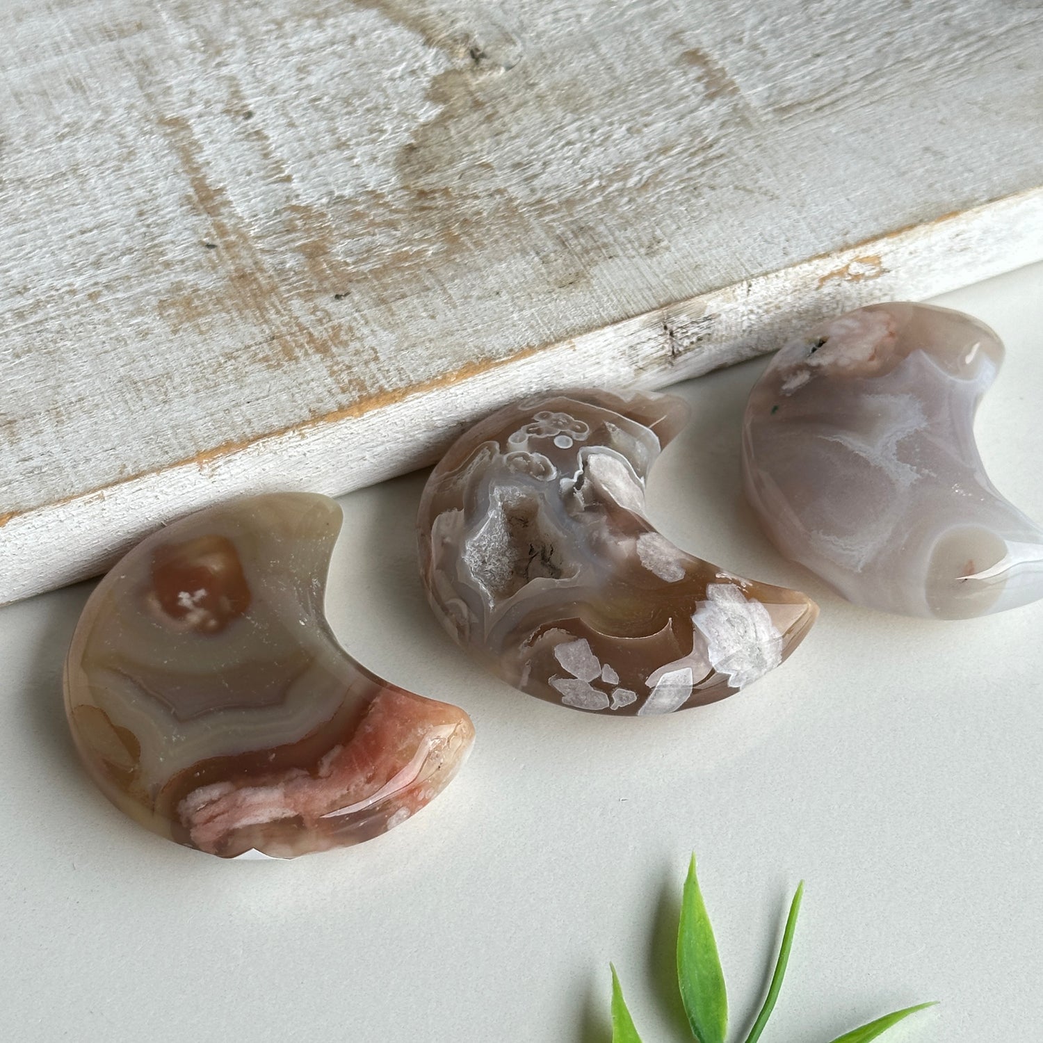Flower Agate Moon