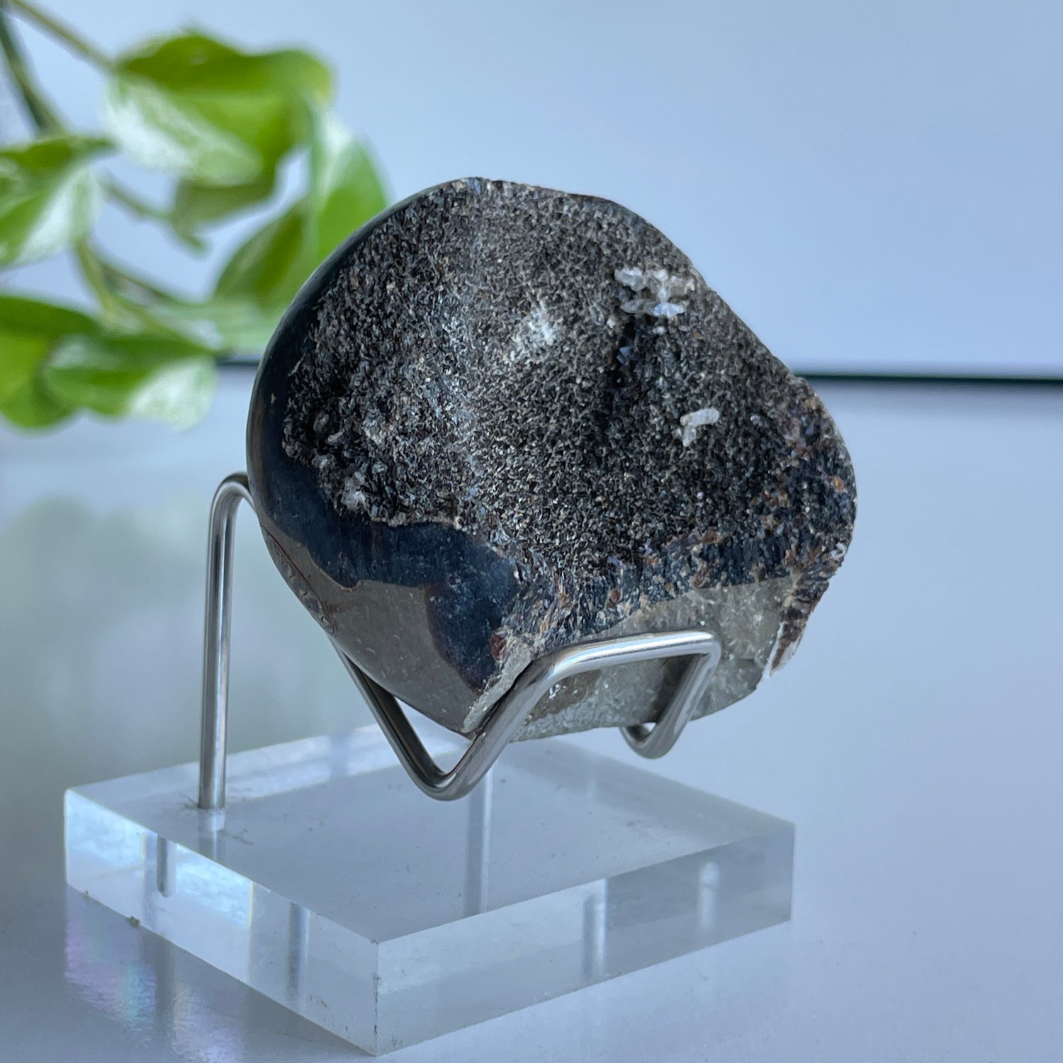 Septarian Egg 5.6cm