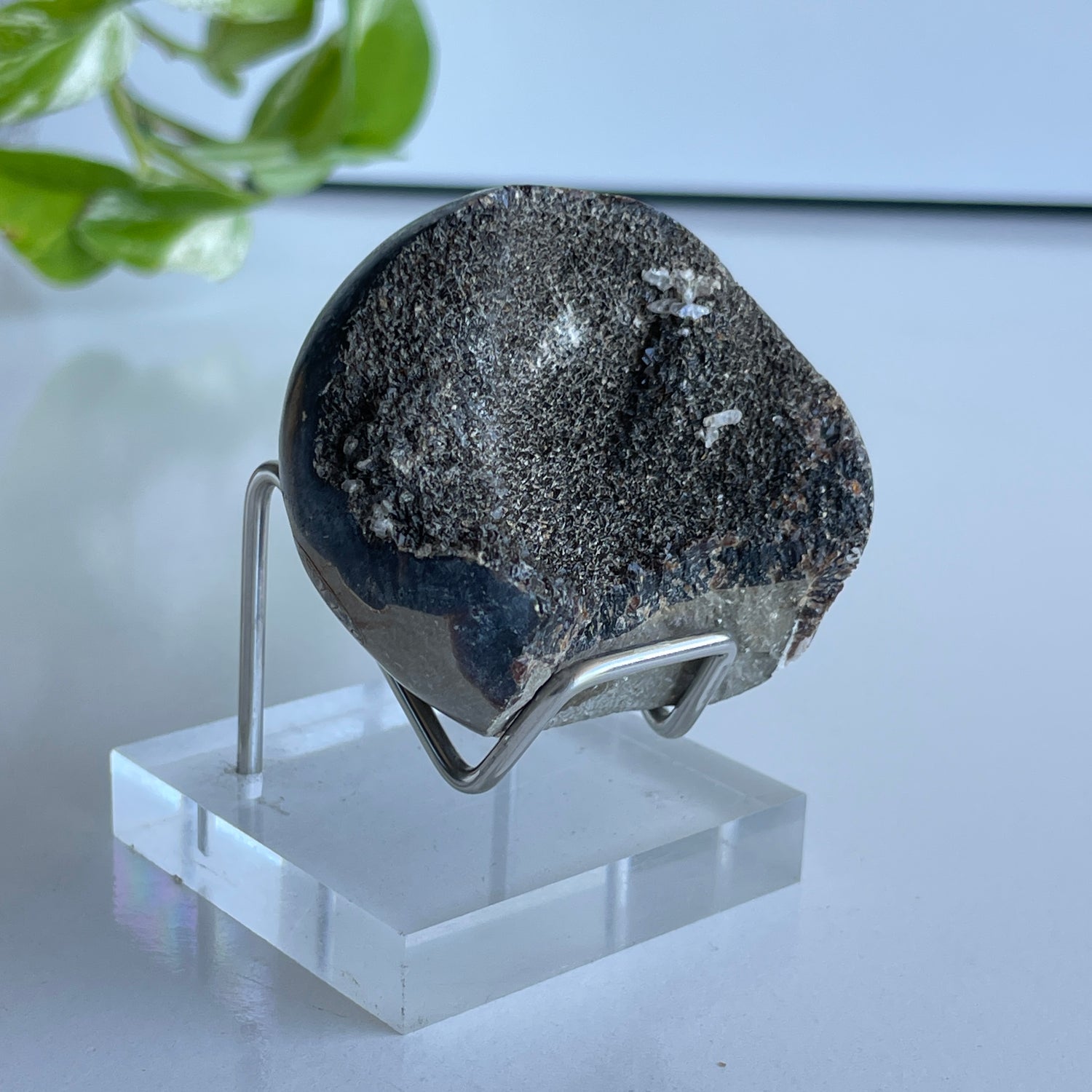 Septarian Egg 5.6cm