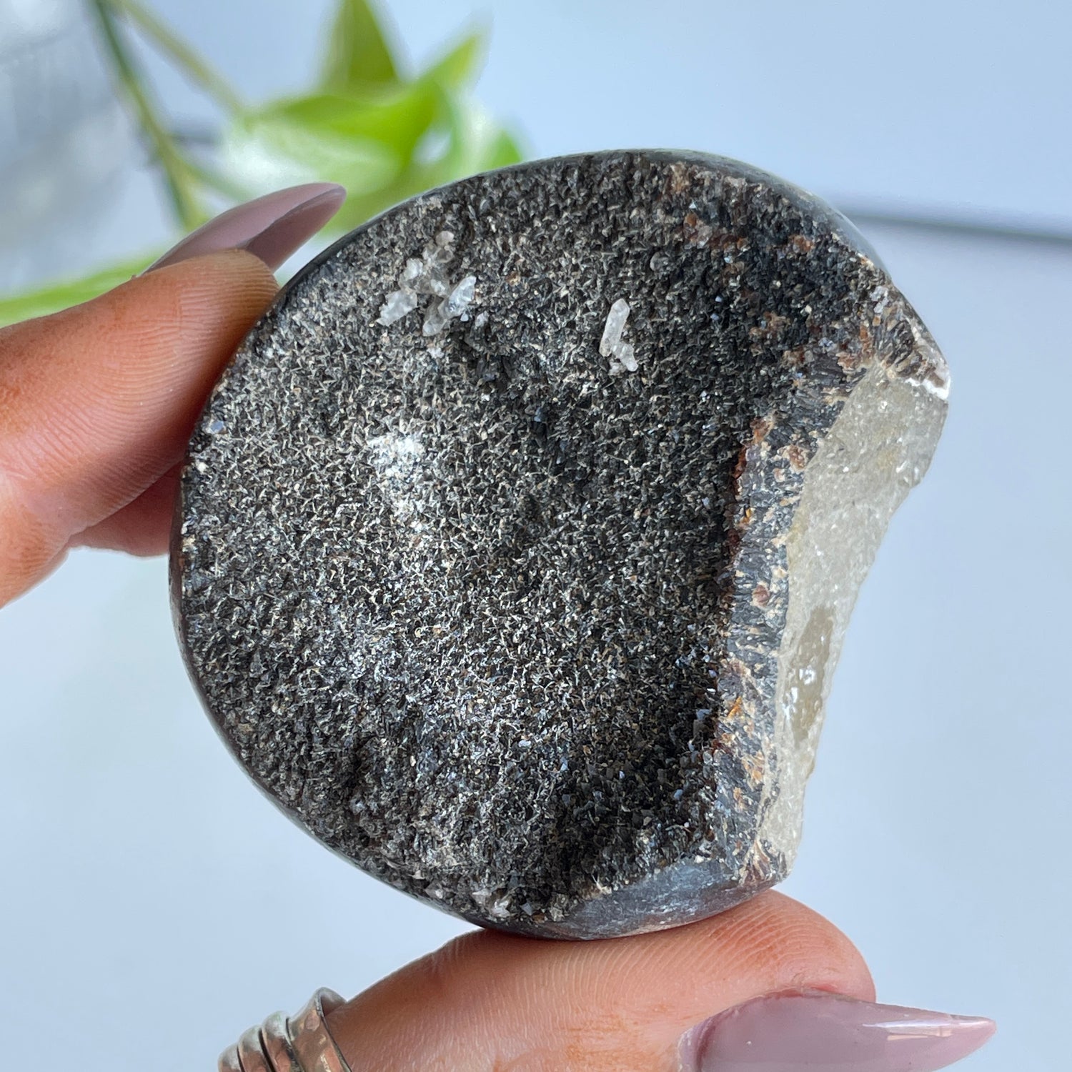 Septarian Egg 5.6cm