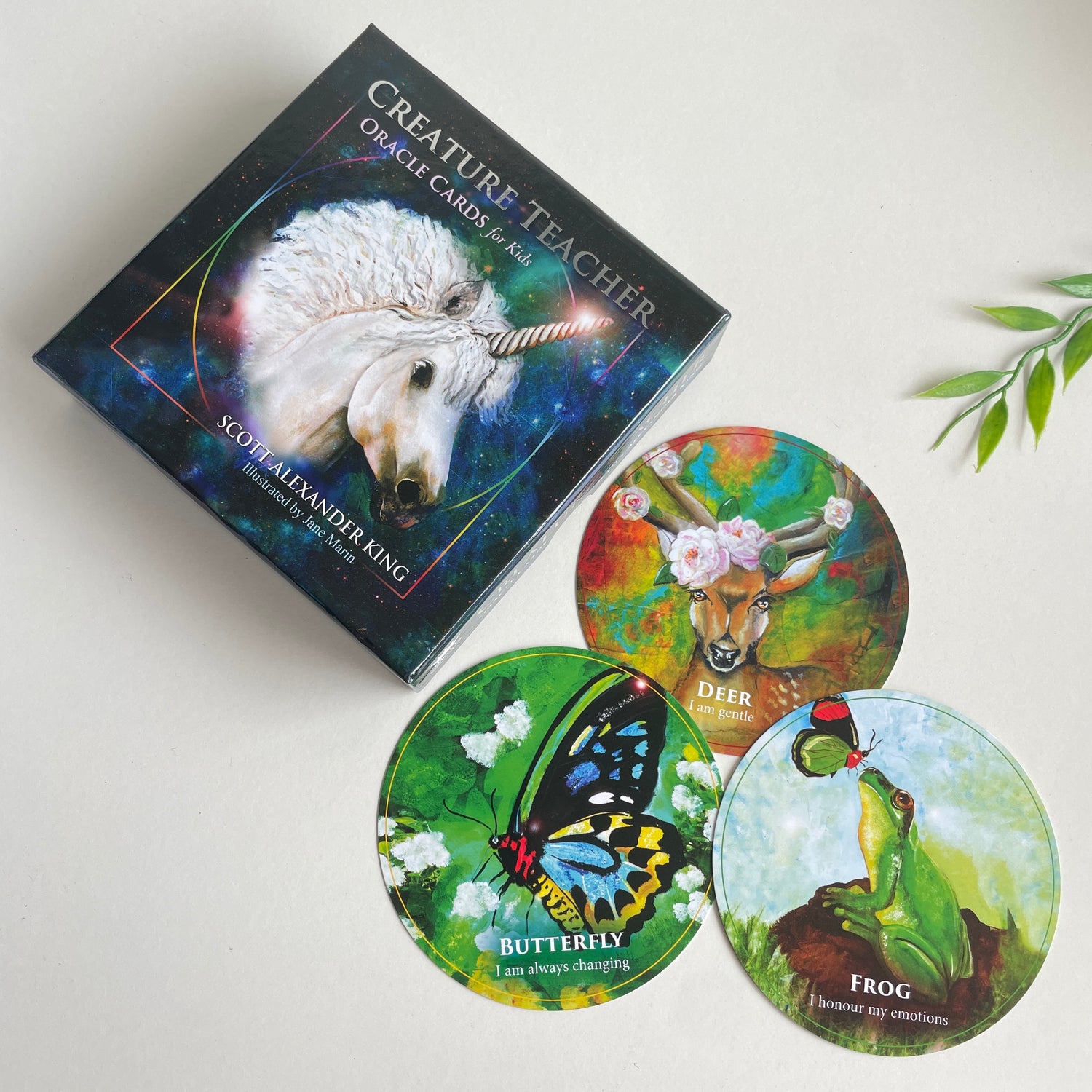 Creature Teacher Oracle Cards Scott Alexander King