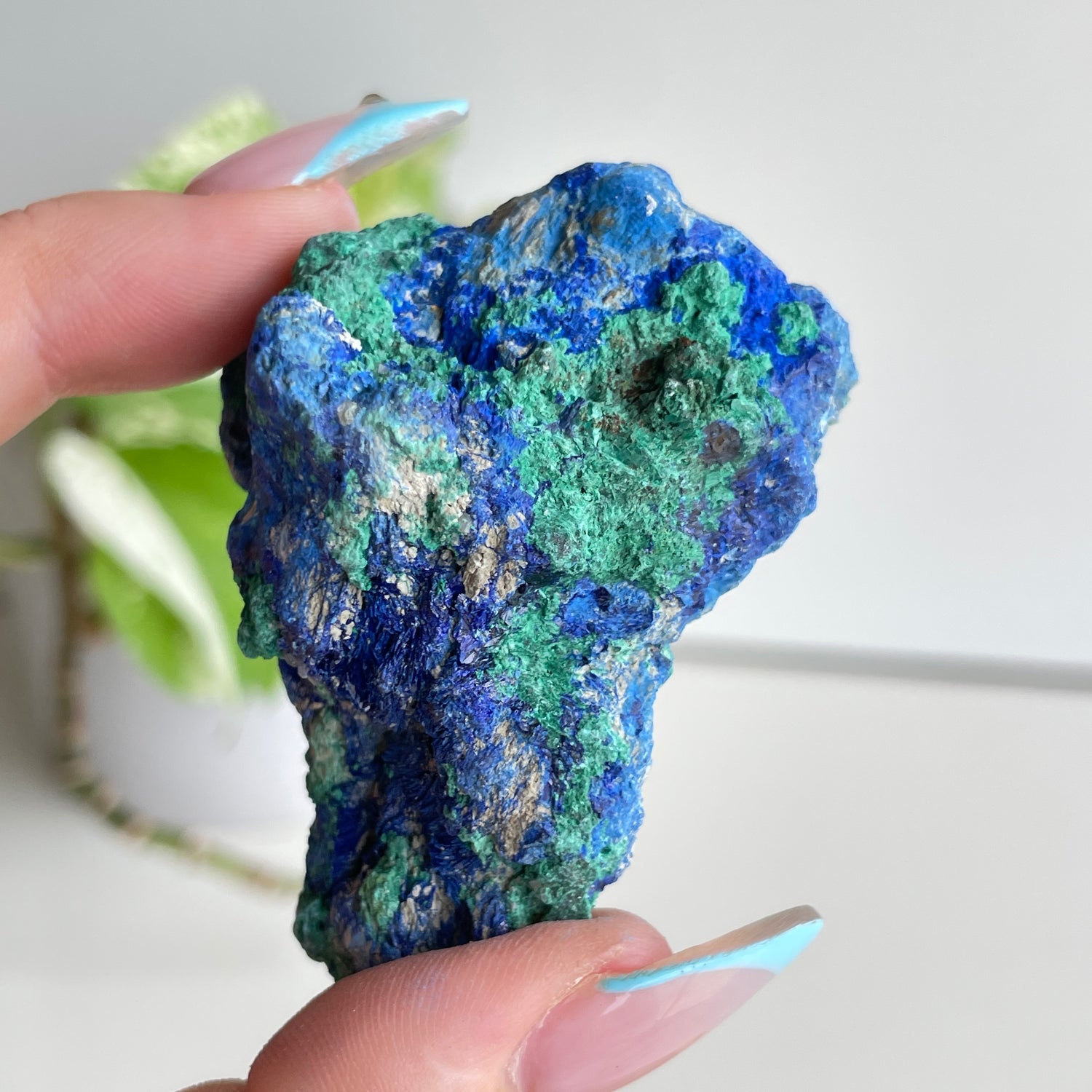 Azurite In Malachite Pce 74g