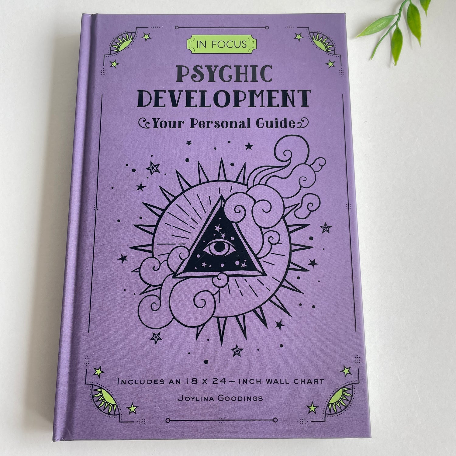 Psychic Development Your Personal Guide Joylina Goodings