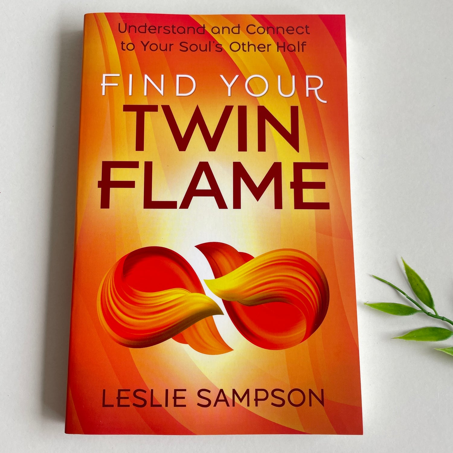 Find Your Twin Flame Leslie Sampson