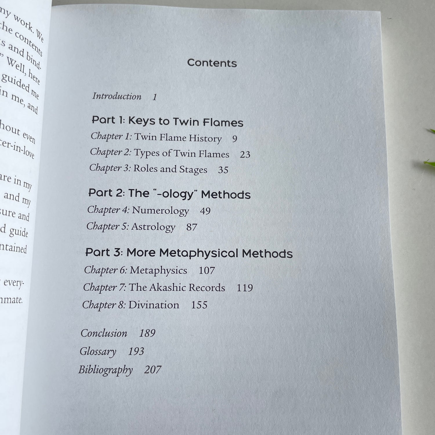 Find Your Twin Flame Leslie Sampson
