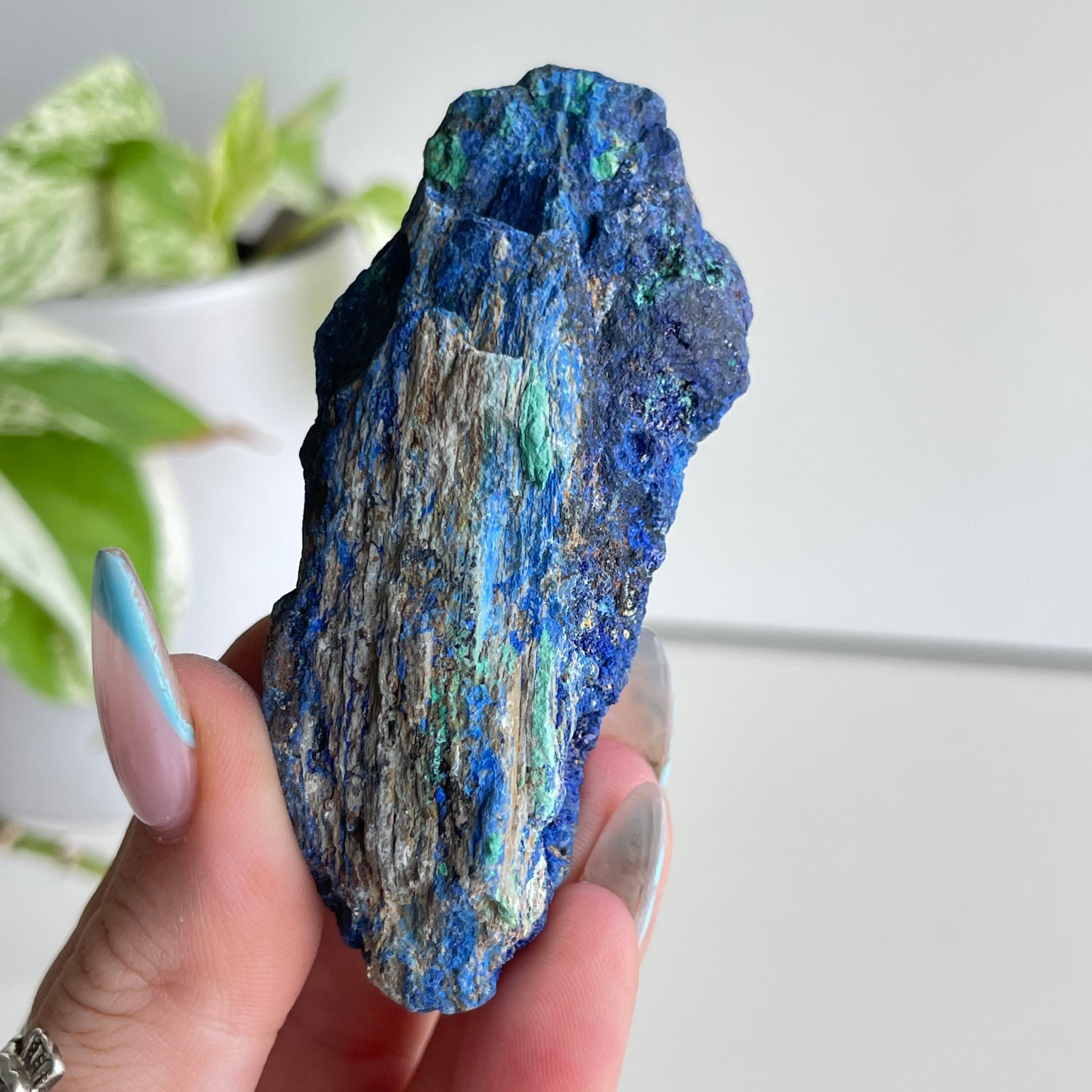 Azurite In Malachite Pce 90g