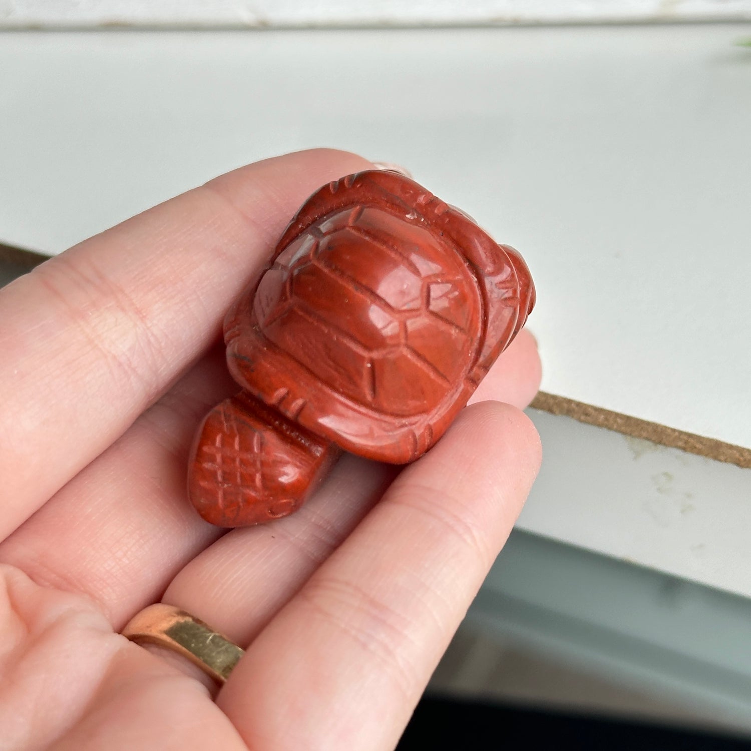 Turtles Assorted