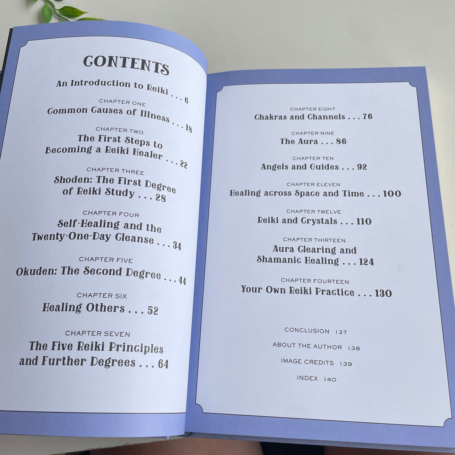 In Focus Reiki Your Personal Guide Des Hynes