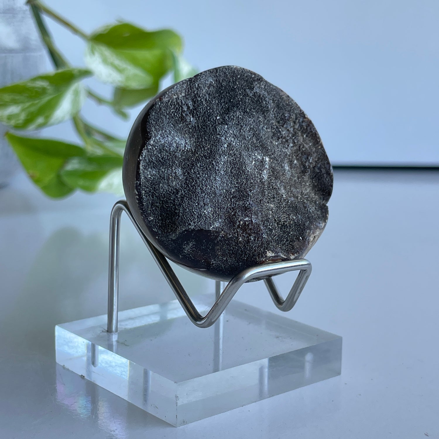 Septarian Egg 5.2cm 01