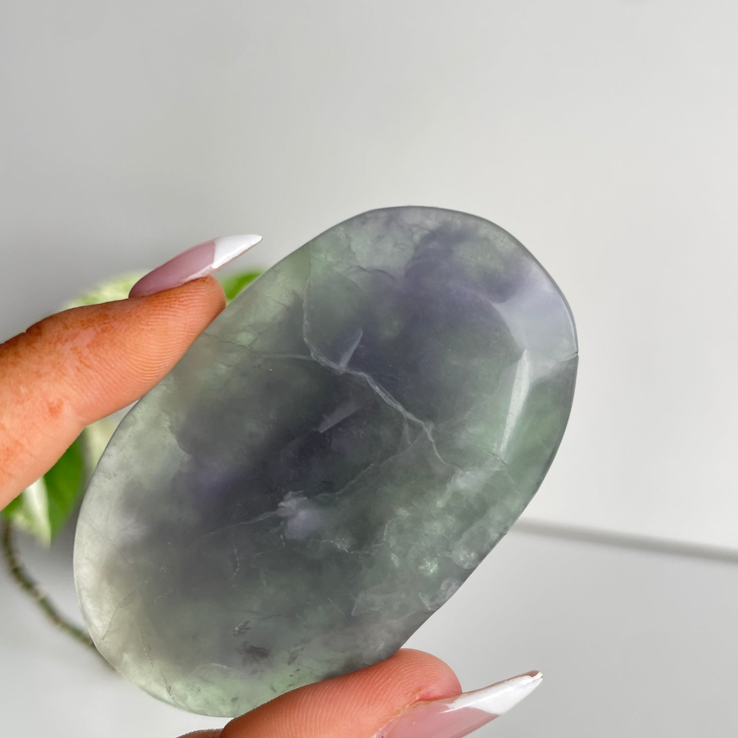 Fluorite Palmstone Large