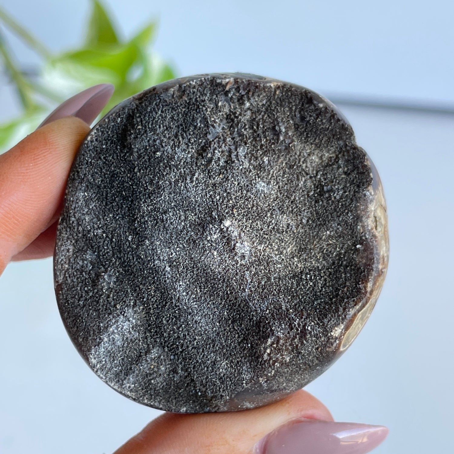 Septarian Egg 5.2cm 01