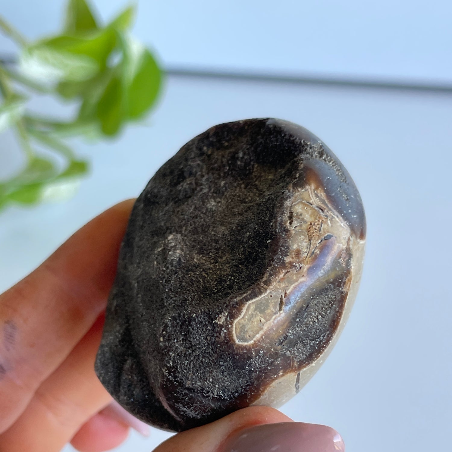 Septarian Egg 5.2cm 01