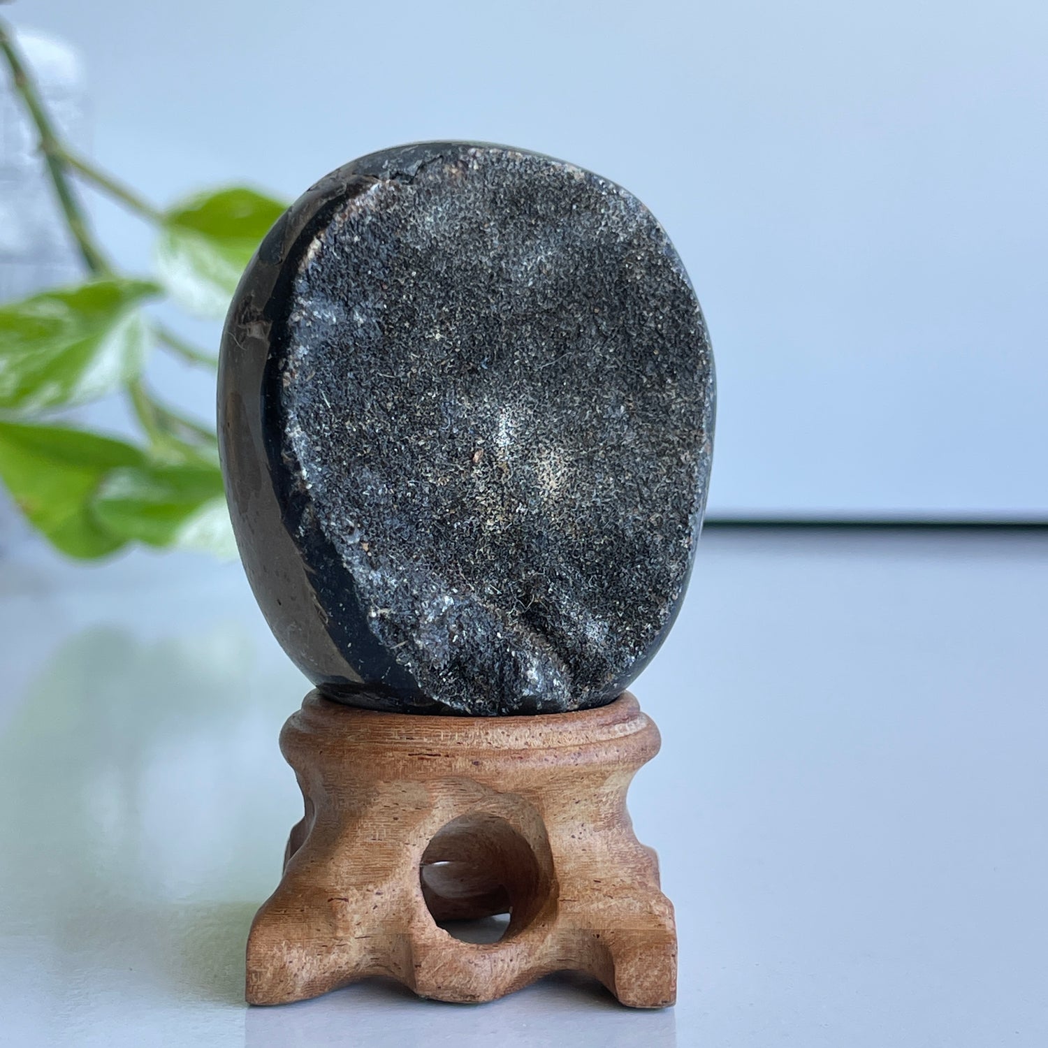 Septarian Egg 5.5cm