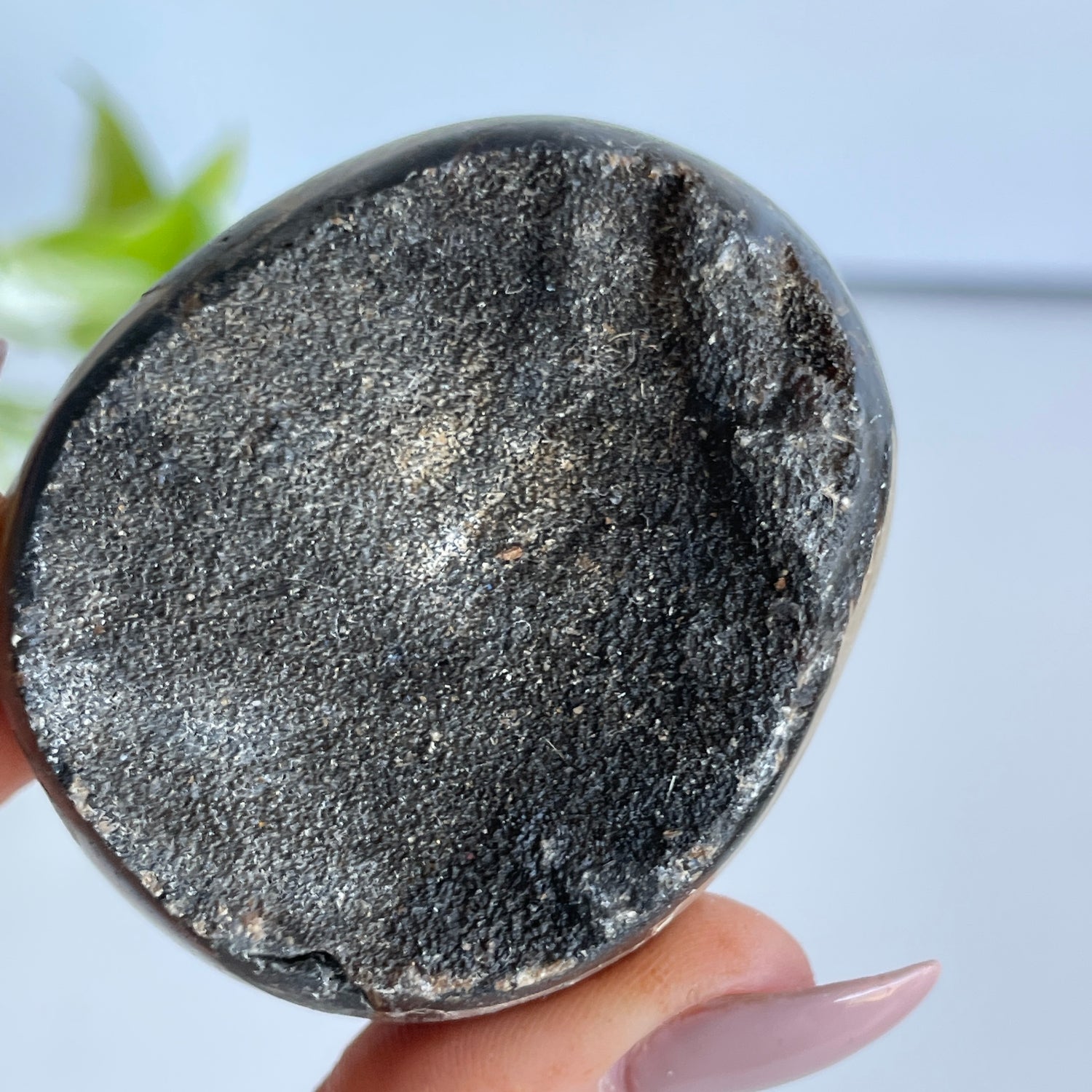 Septarian Egg 5.5cm