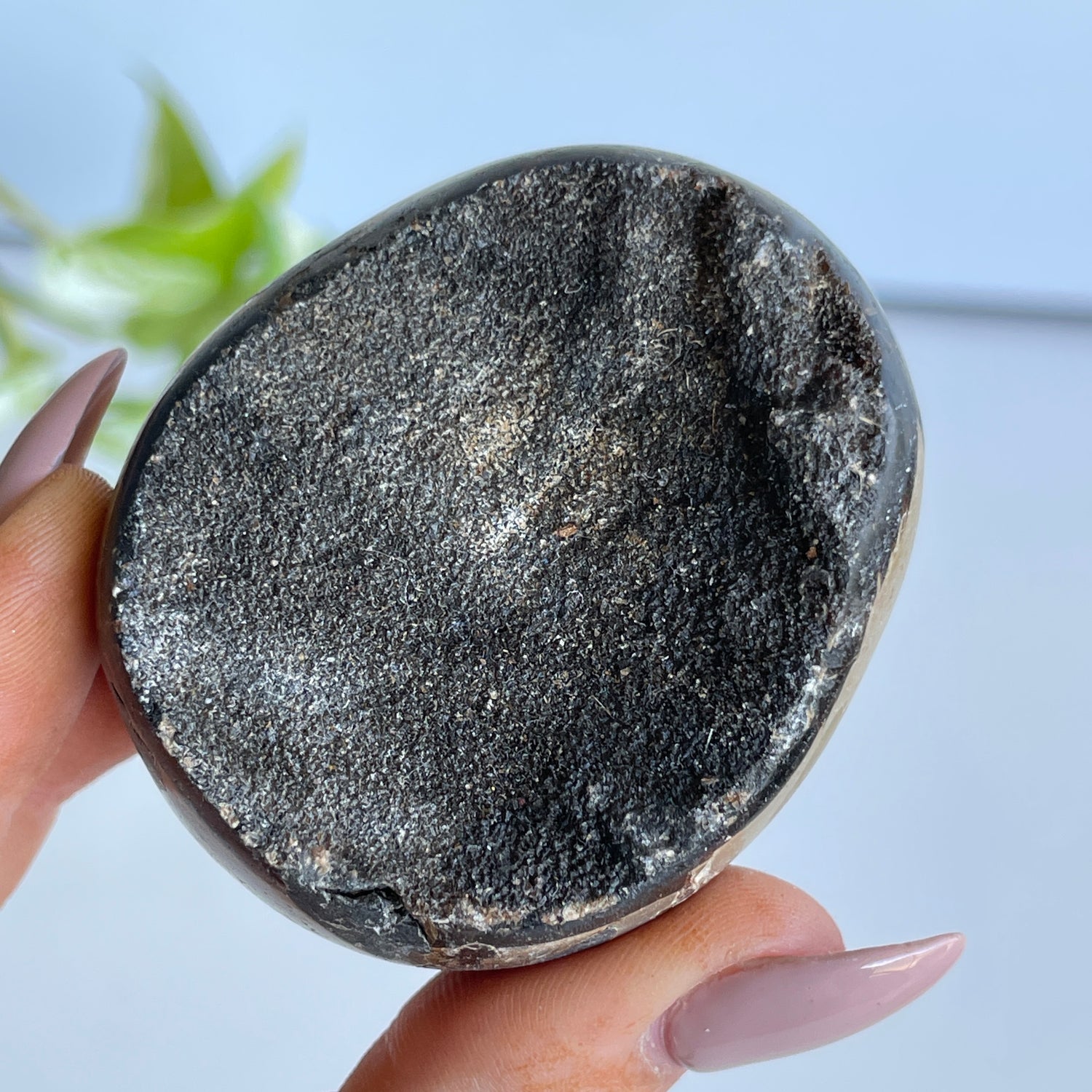 Septarian Egg 5.5cm