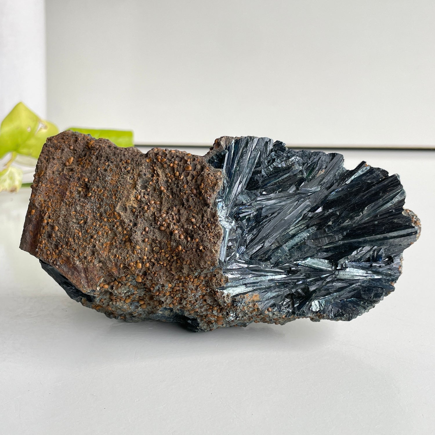 Vivianite Pc 593g